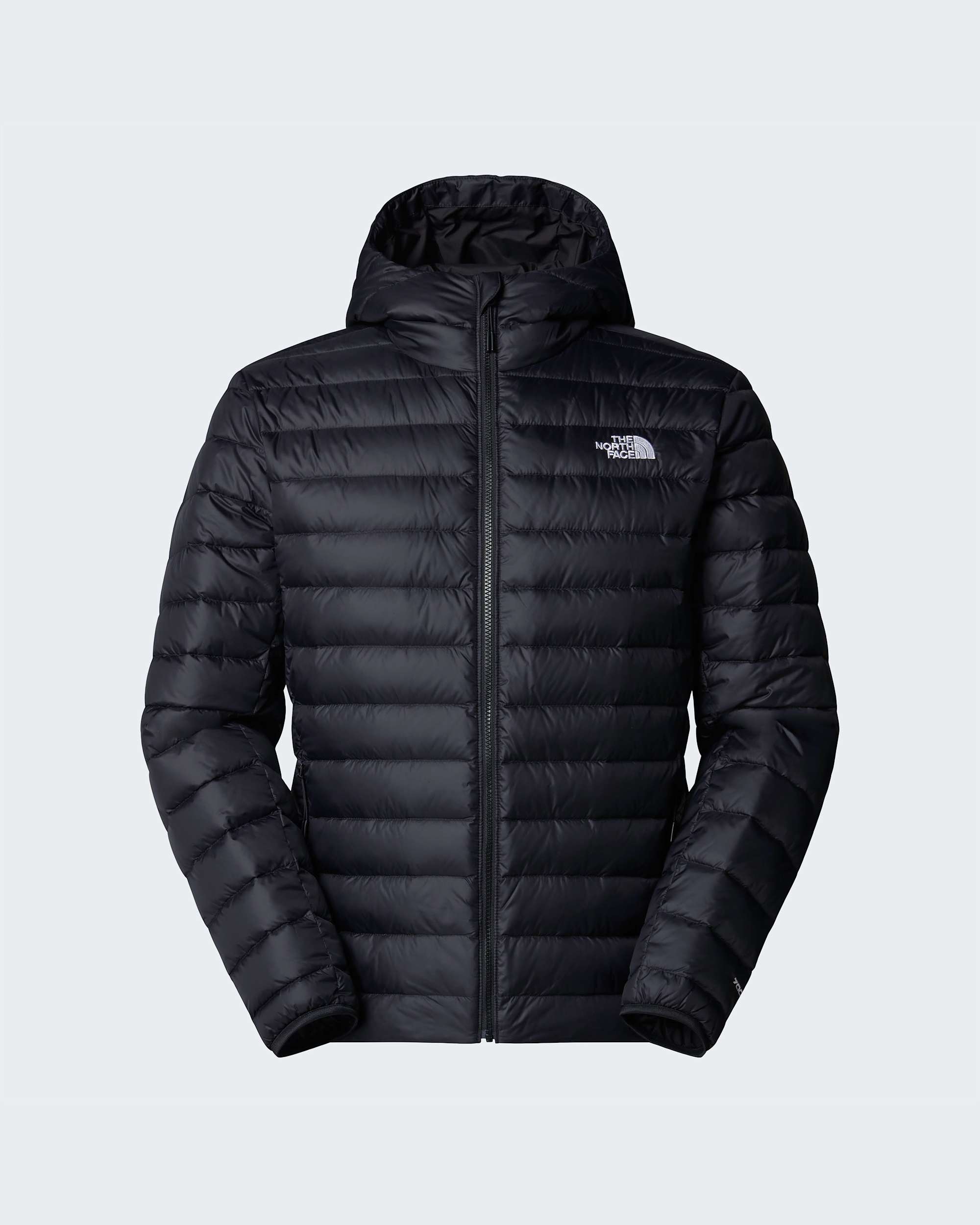 Classicdonsjas met capuchon voor heren TNF ALT20