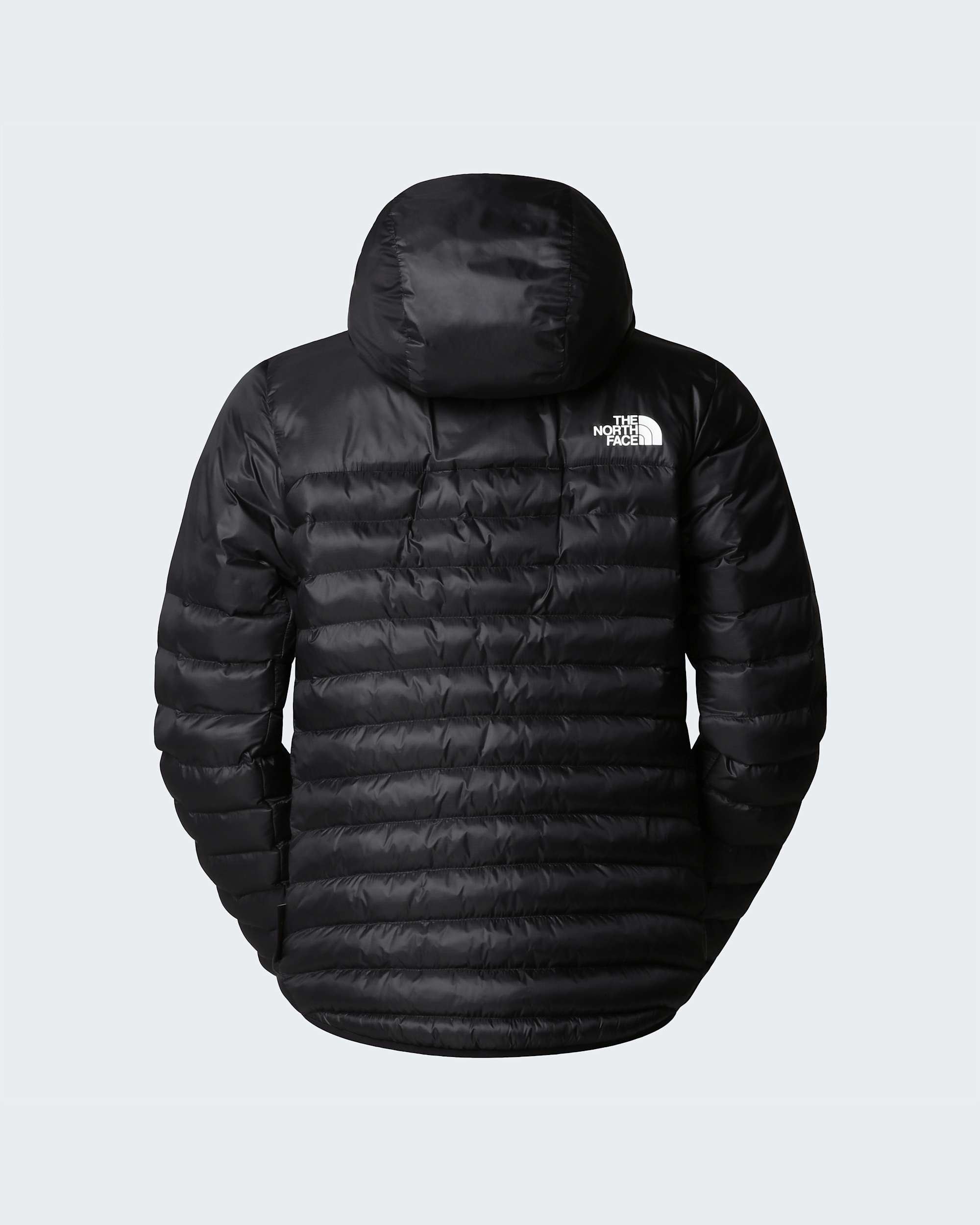 Veste  capuche Terra Peak pour femme TNF ALT21