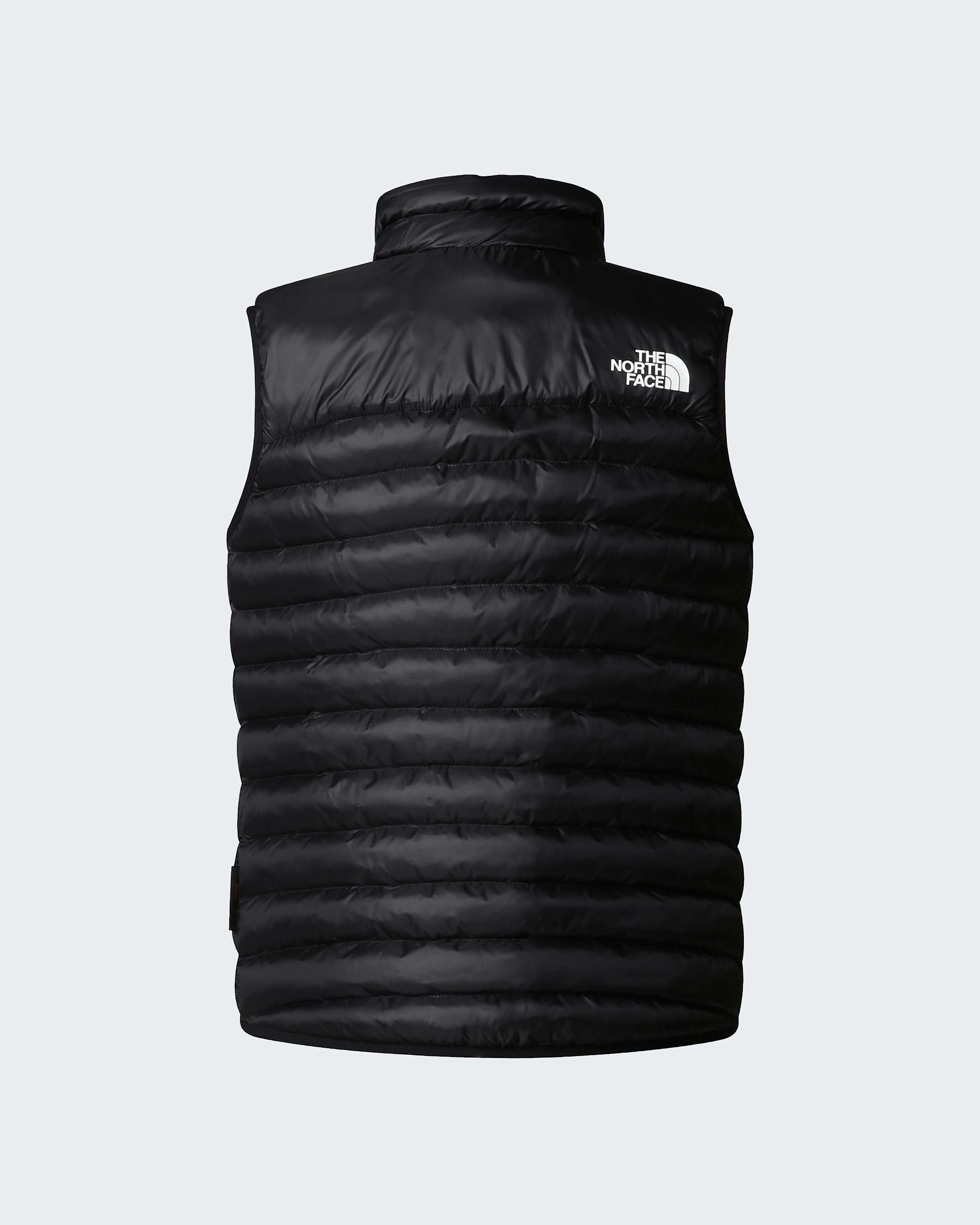 Gilet Terra Peak pour femme TNF ALT21
