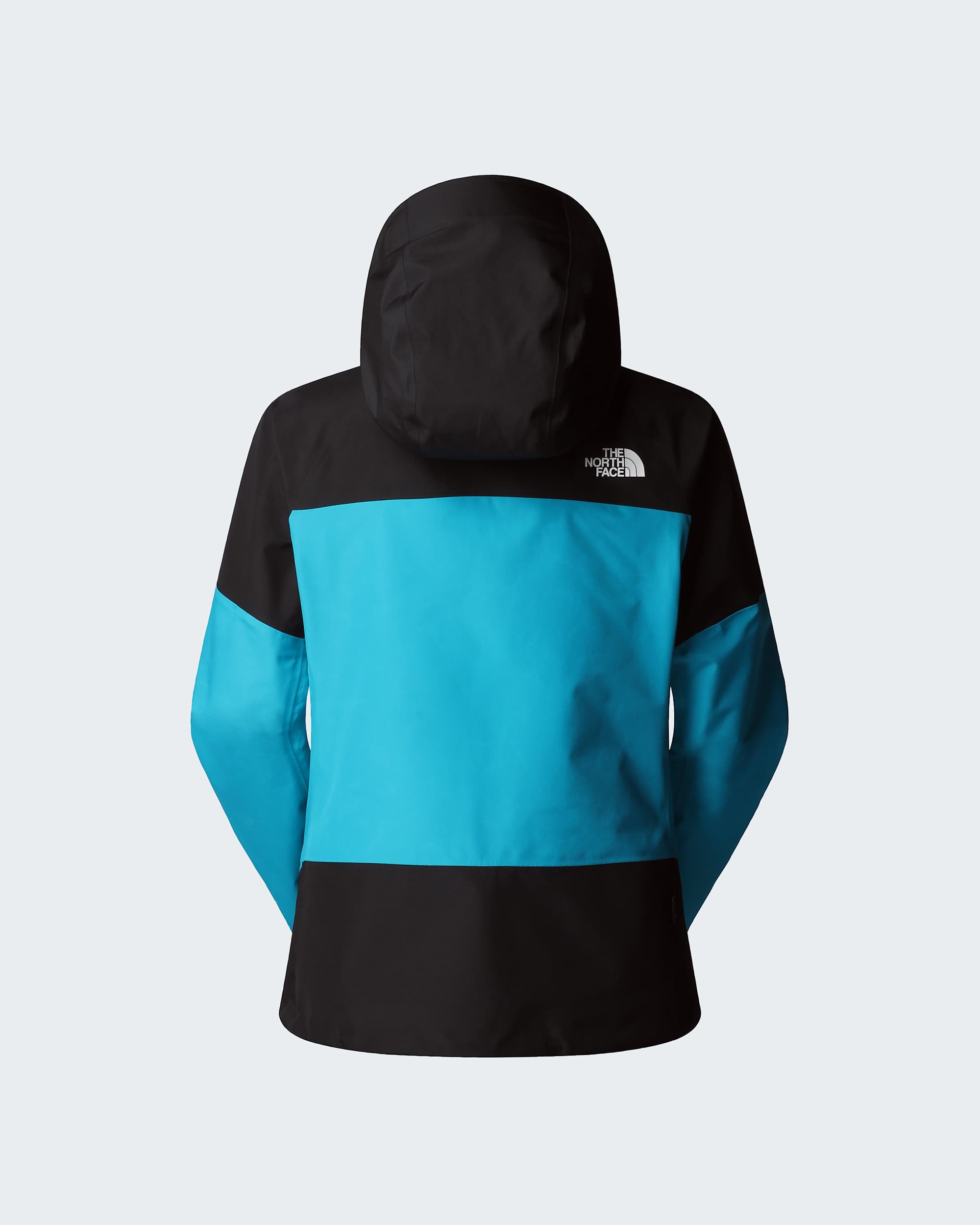 Womens Jazzi GORETEX Jacket TNF ALT21