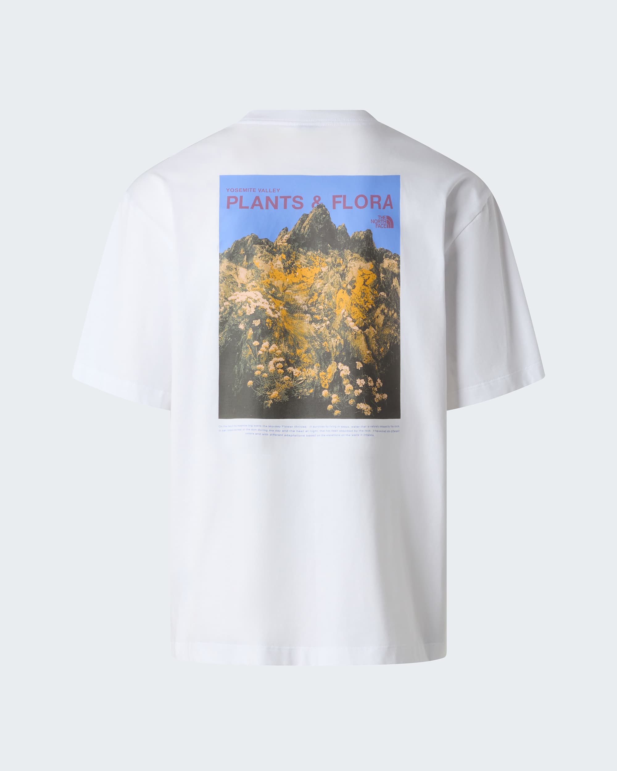 Unisex Plant  Flora Oversized Graphic TShirt TNF HERO