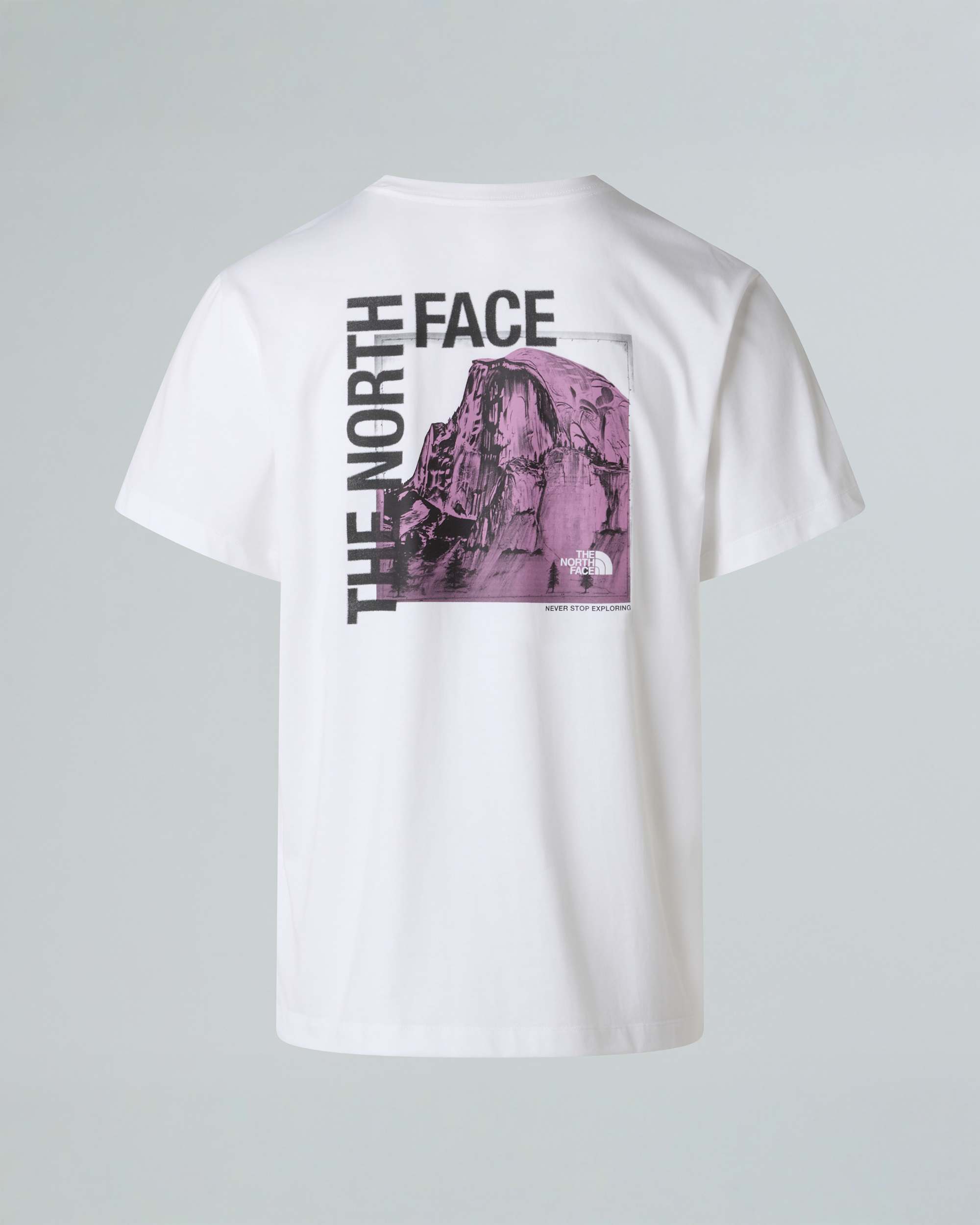 Camiseta grfica recta Half Dome Photo para hombre TNF alt1