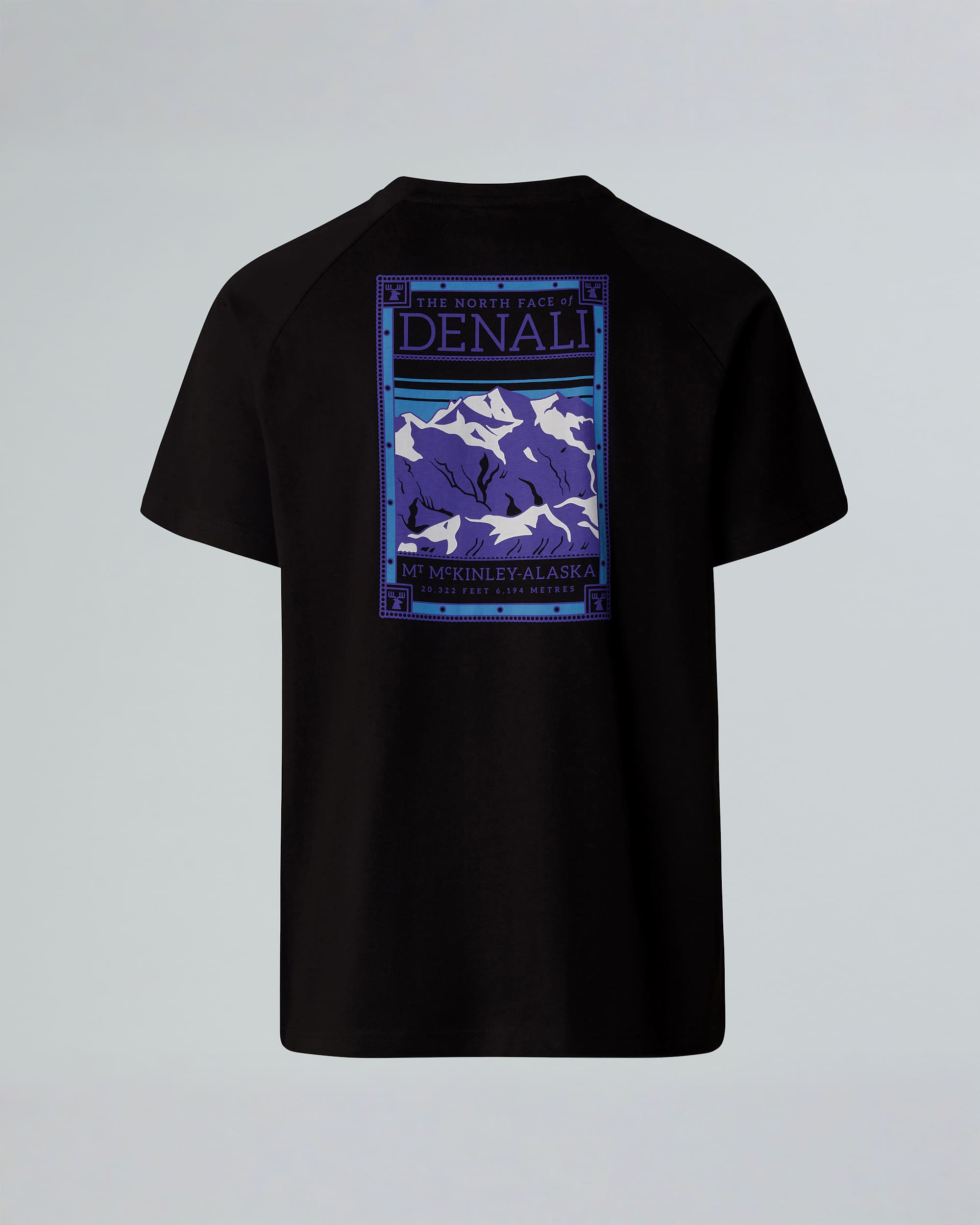 Mens North Faces TShirt TNF ALT1