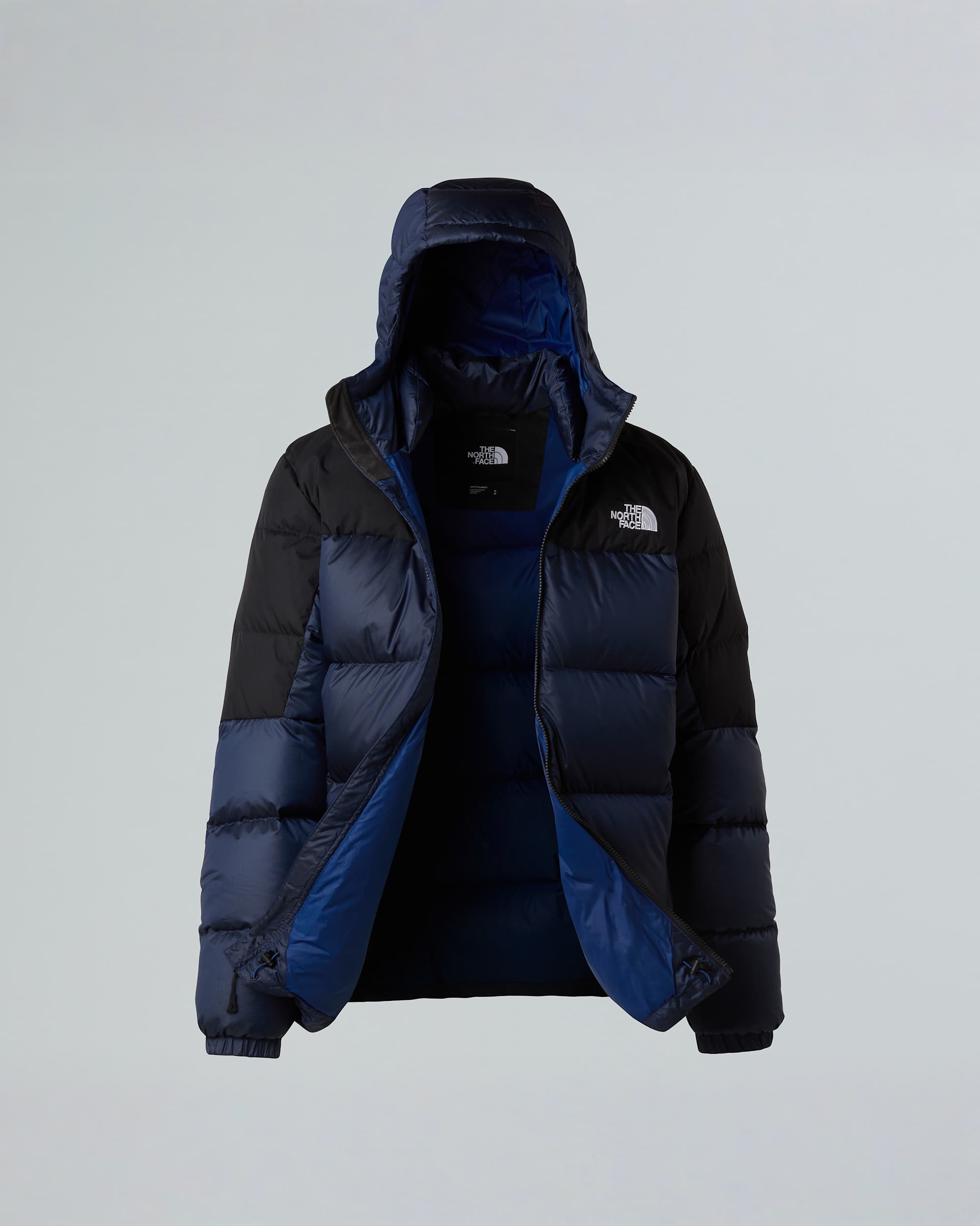 Mens Diablo Down 20 Hooded Jacket TNF ALT23