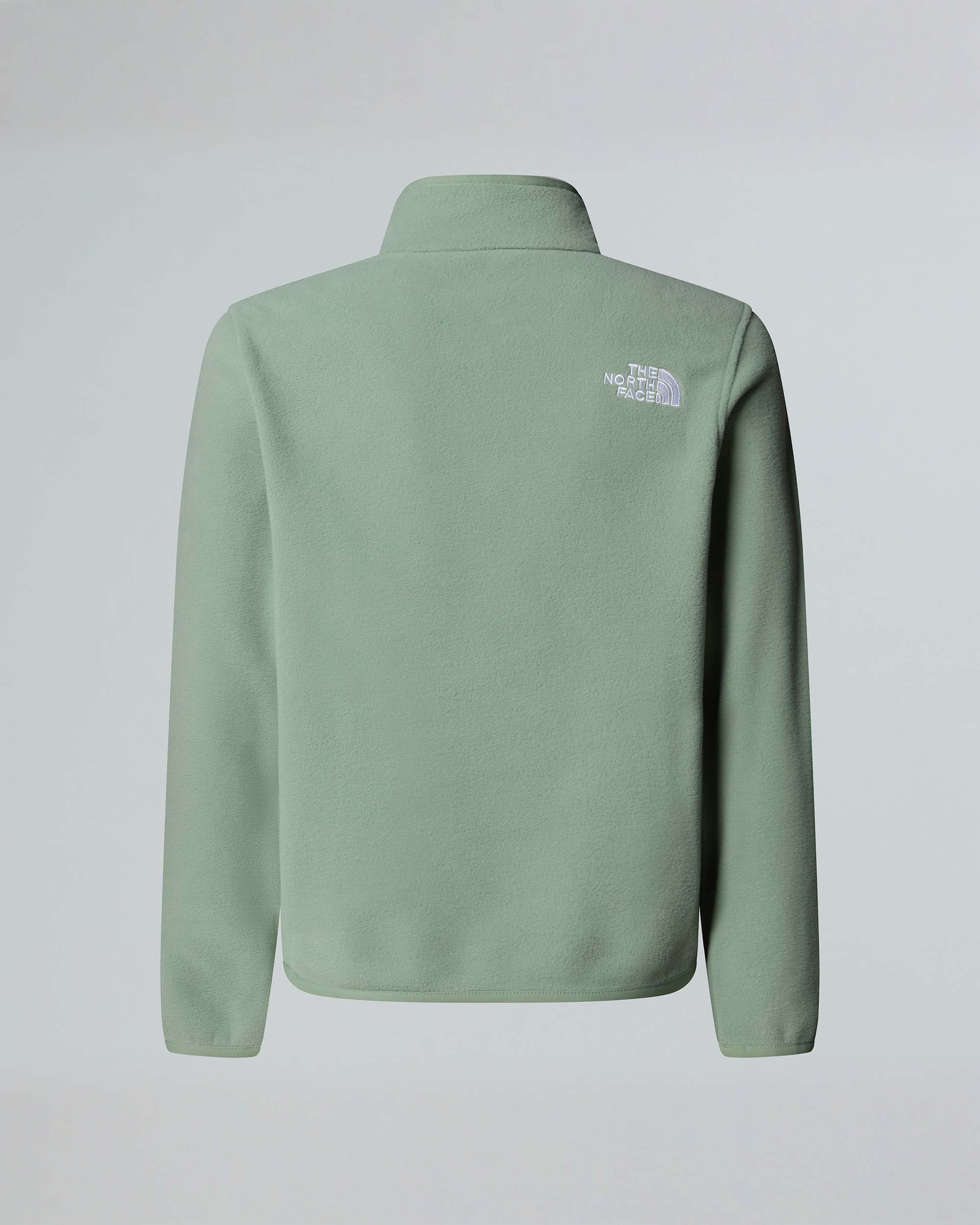 Glacierfleece met kwartrits voor tieners TNF ALT1