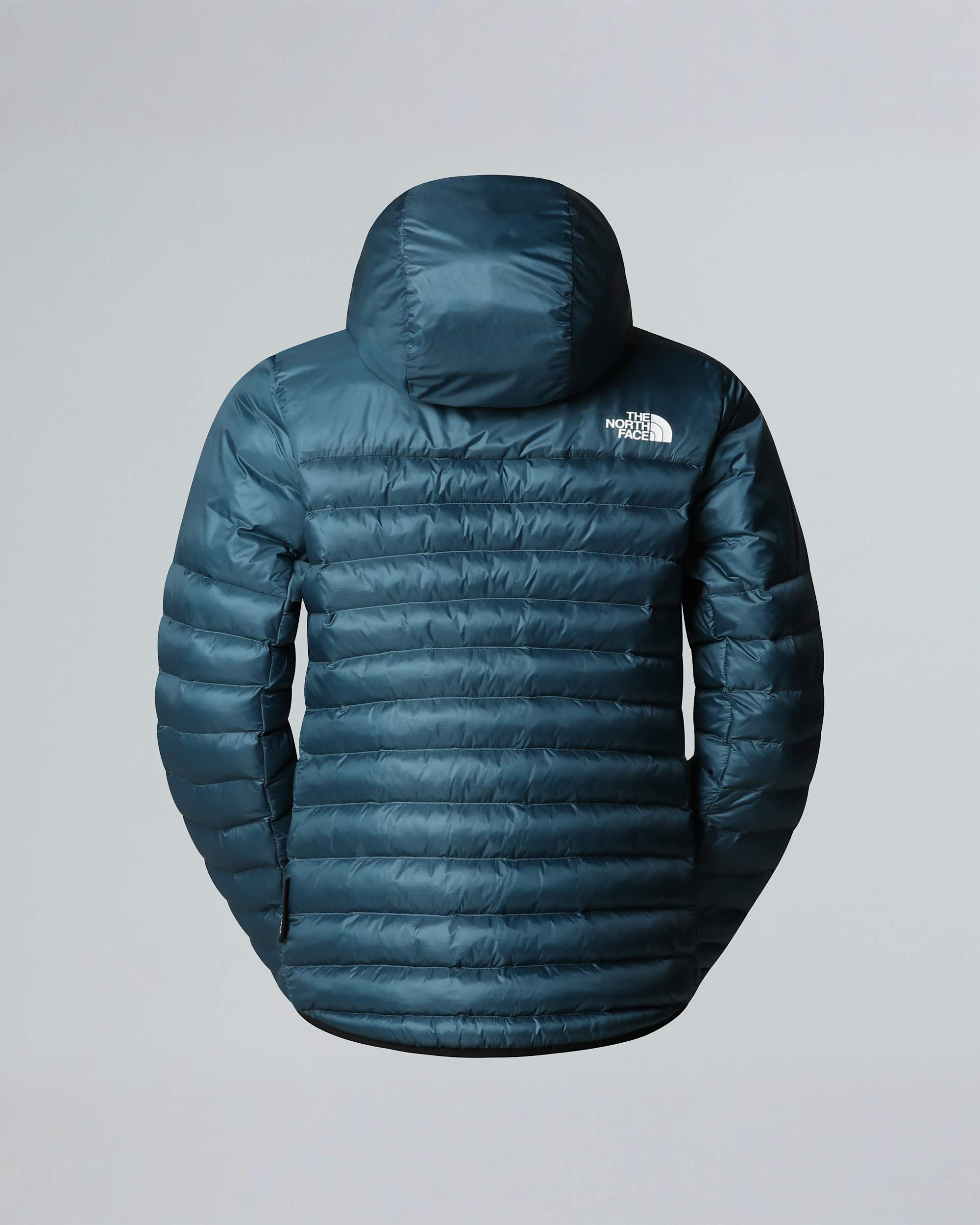 Veste  capuche Terra Peak pour femme TNF ALT1