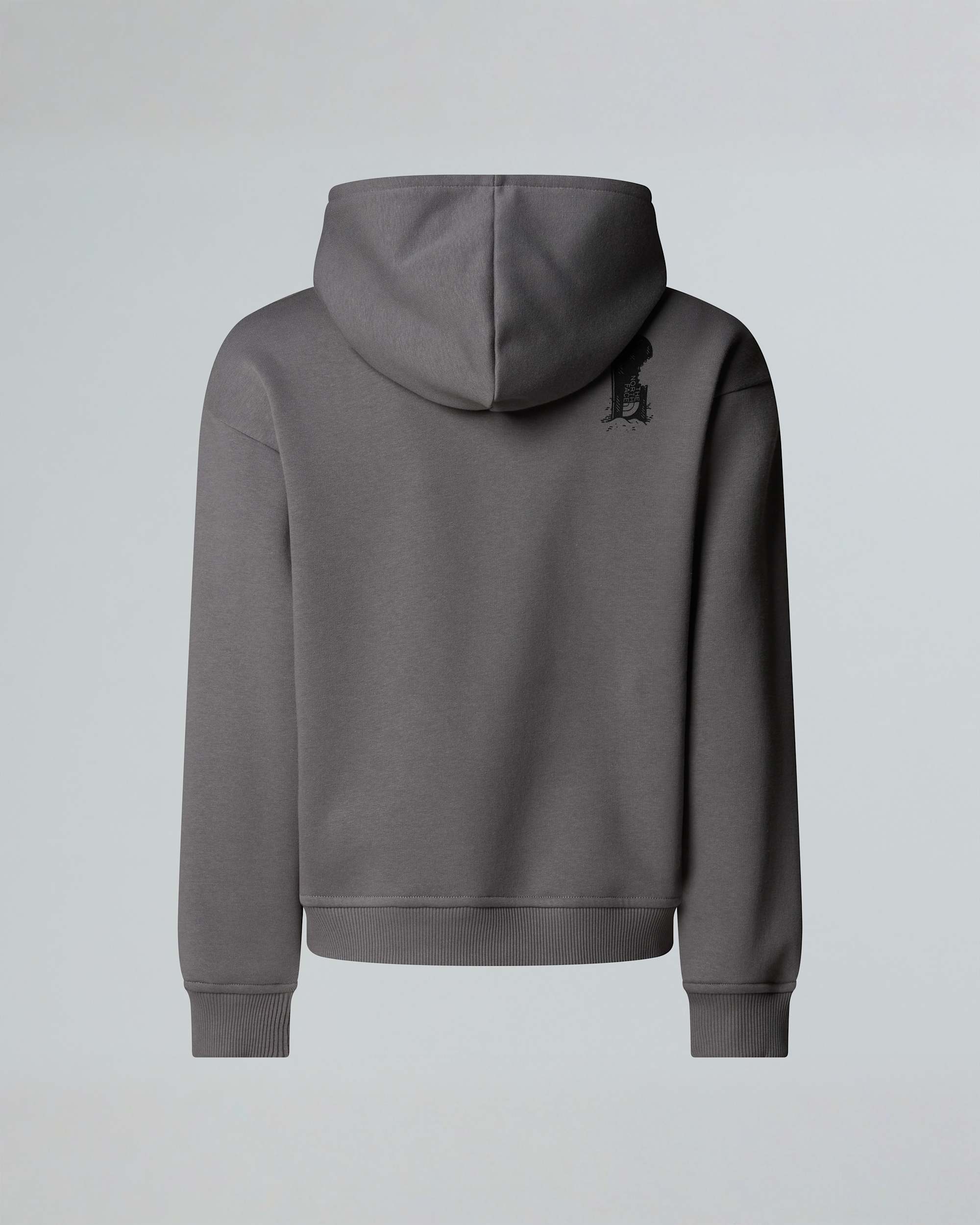 Sports Kapuzenpulli mit Grafik in Oversize fr Jungen TNF ALT1