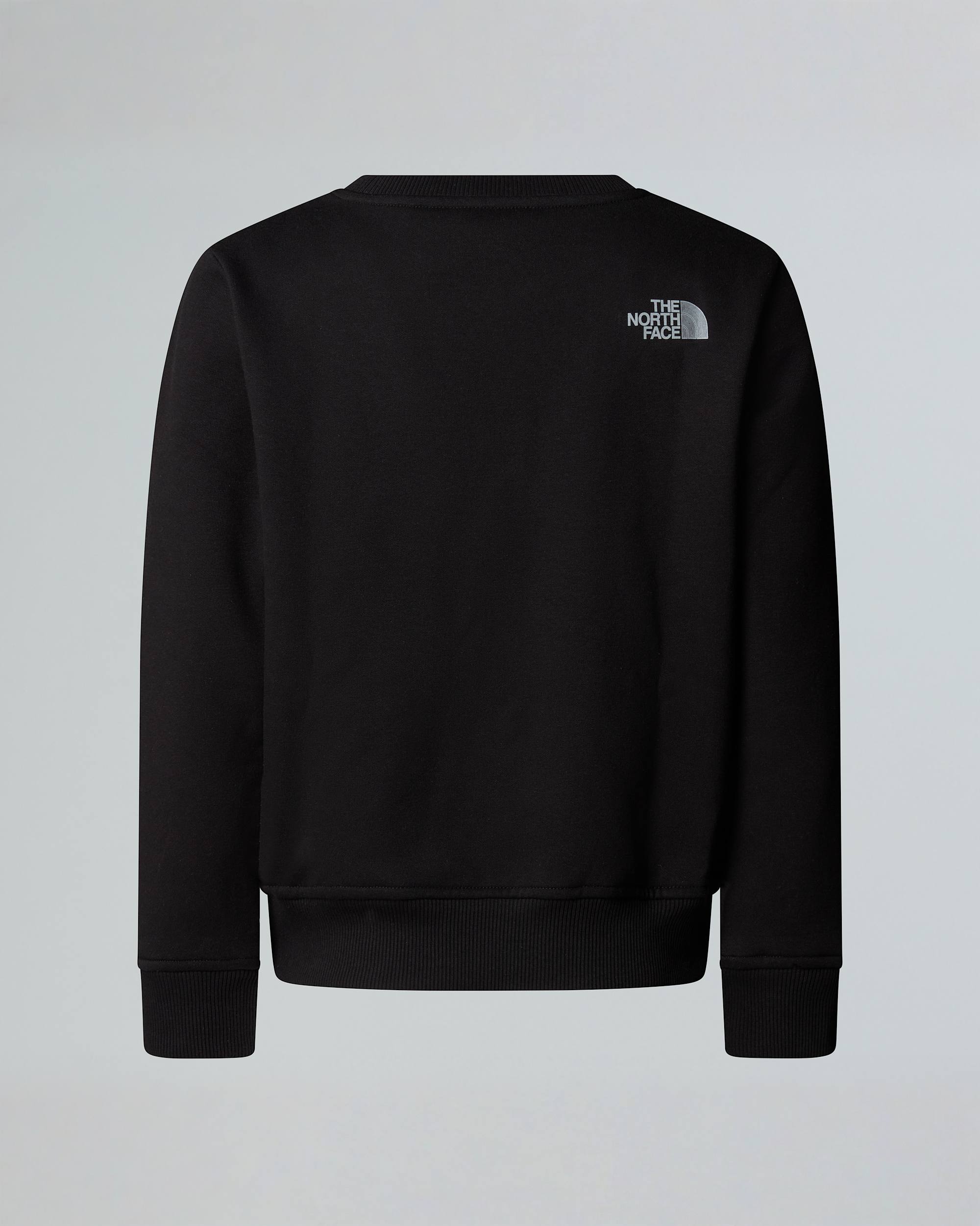 Boys Reflective Logo Relaxed Sweatshirt TNF alt1