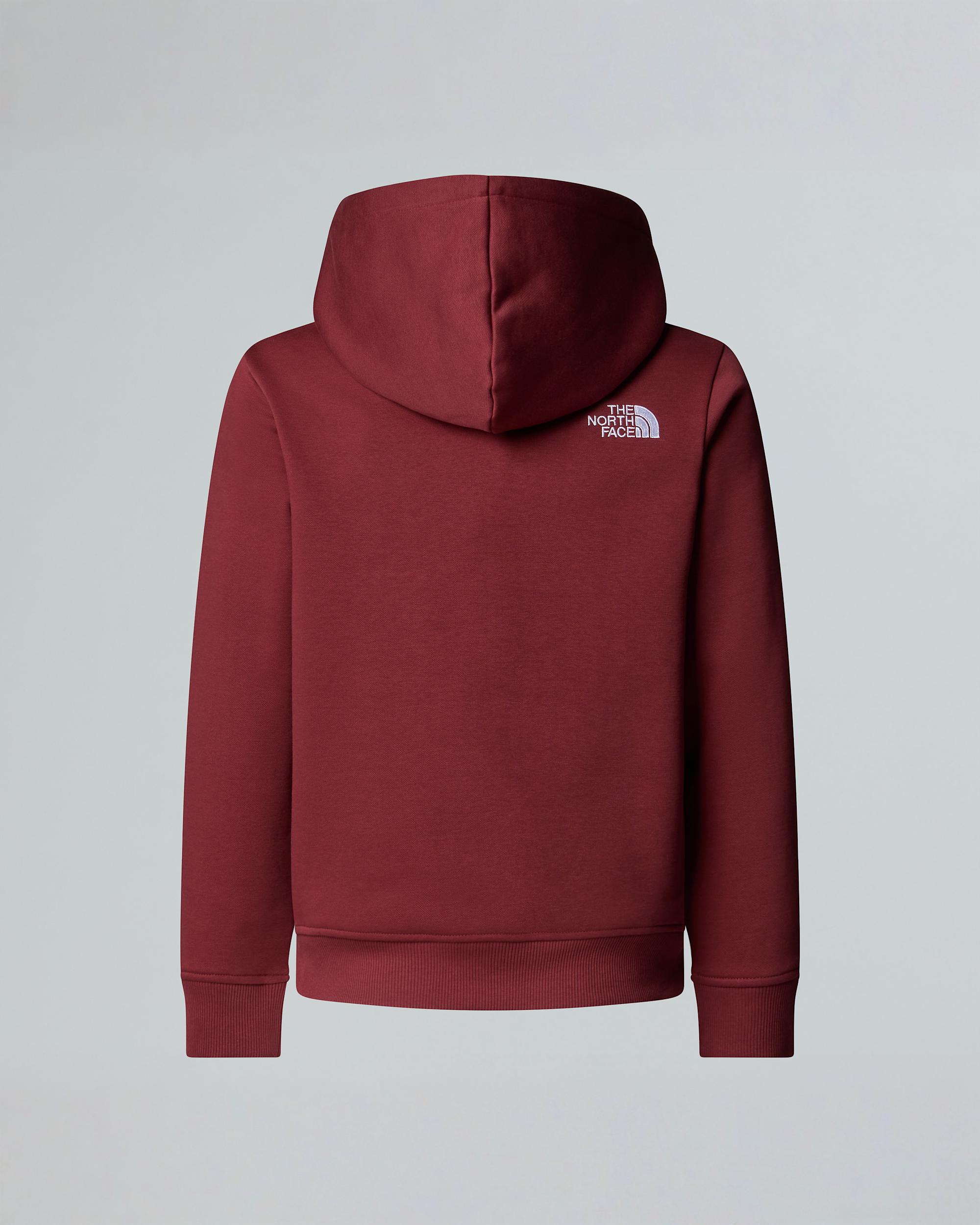 Teens Drew Peak Pullover Hoodie TNF alt1