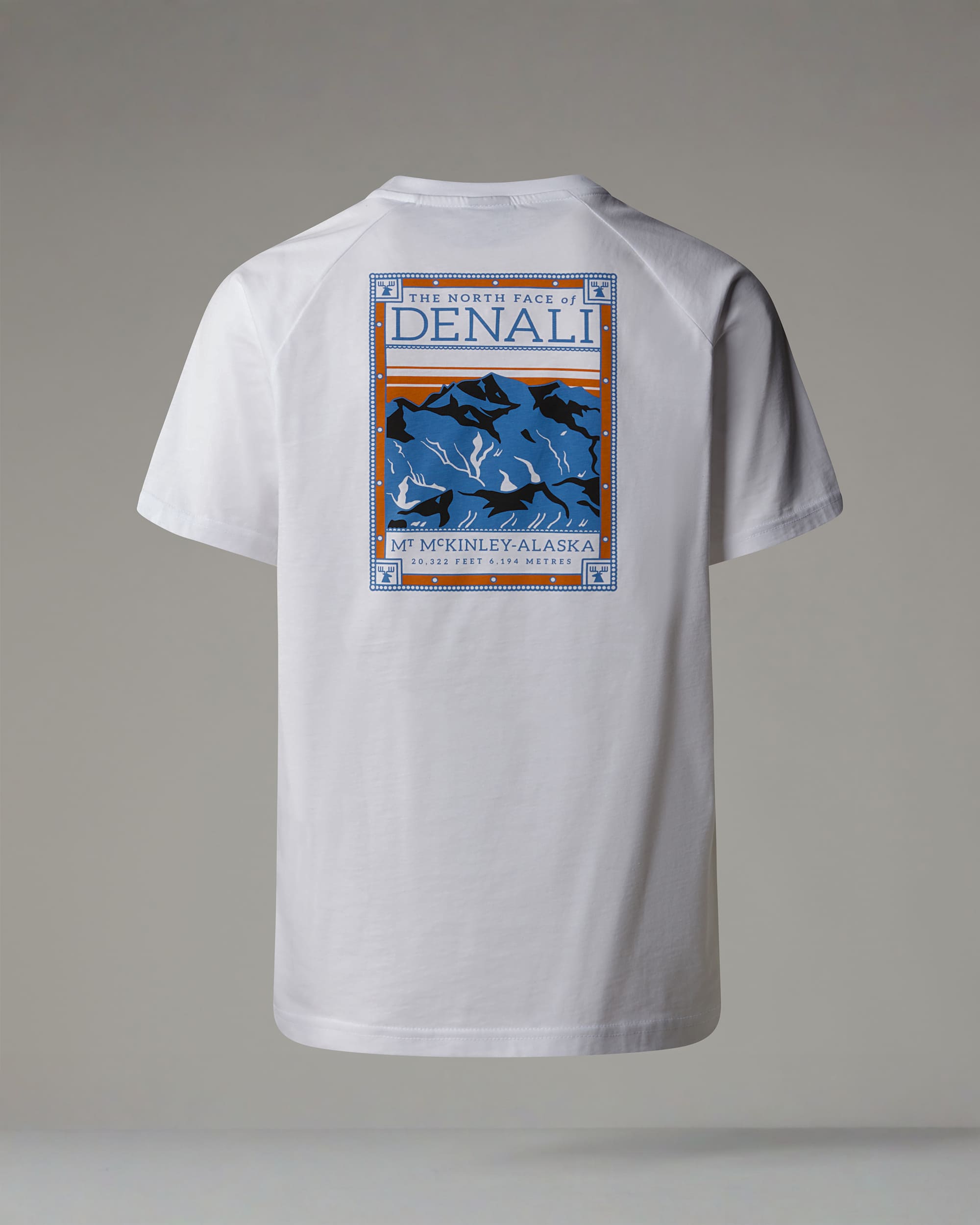Tshirt North Faces pour homme TNF HERO