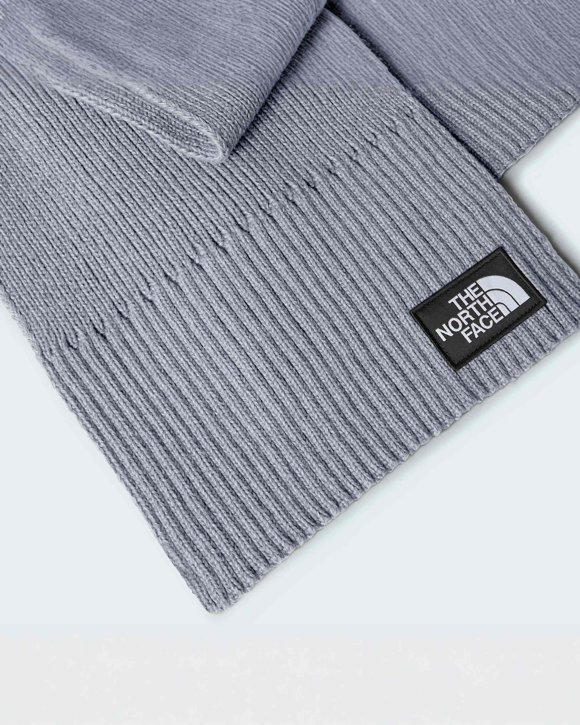 charpe TNF Logo Box TNF ALT2