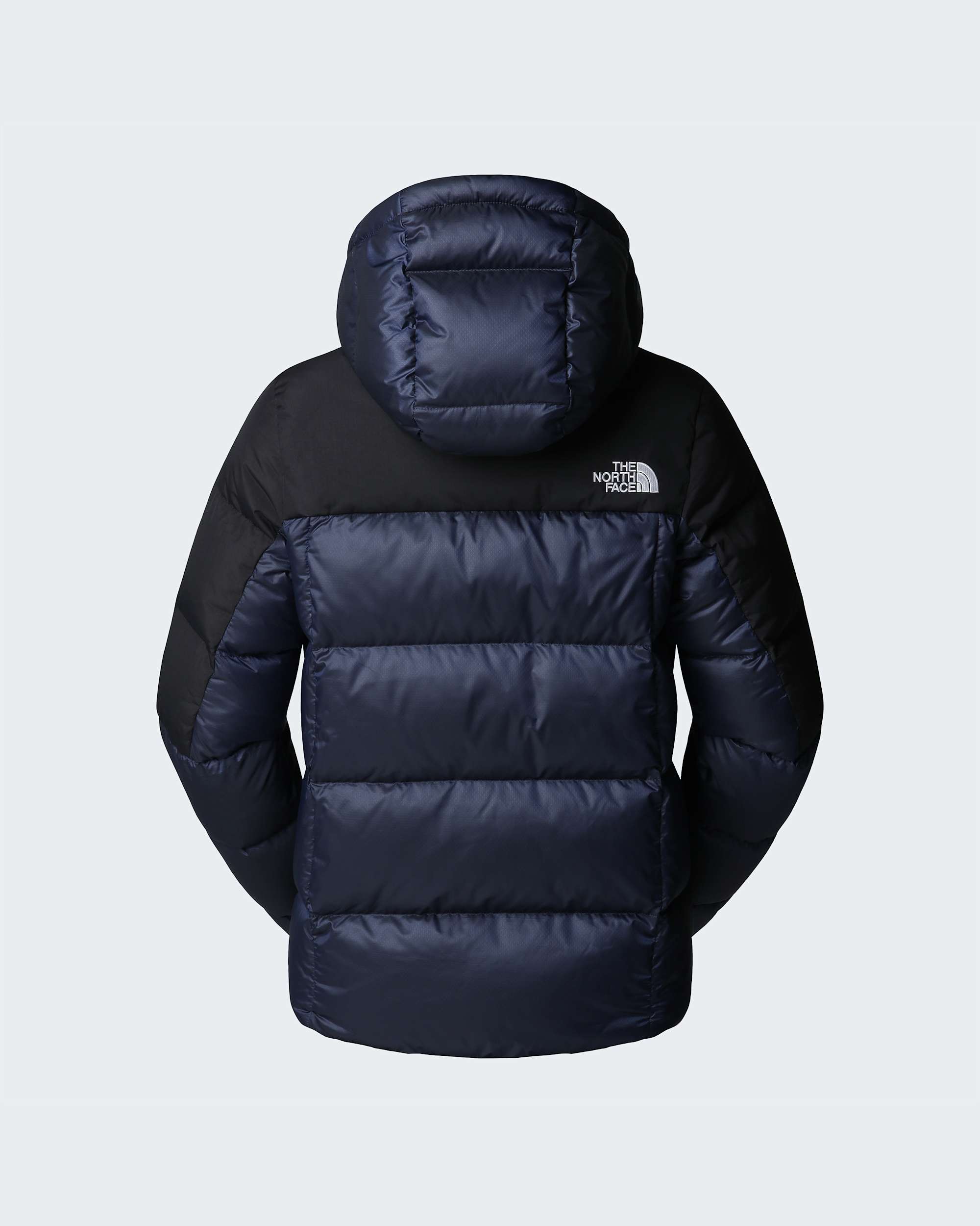 Womens Diablo Down 20 Hooded Jacket TNF ALT21