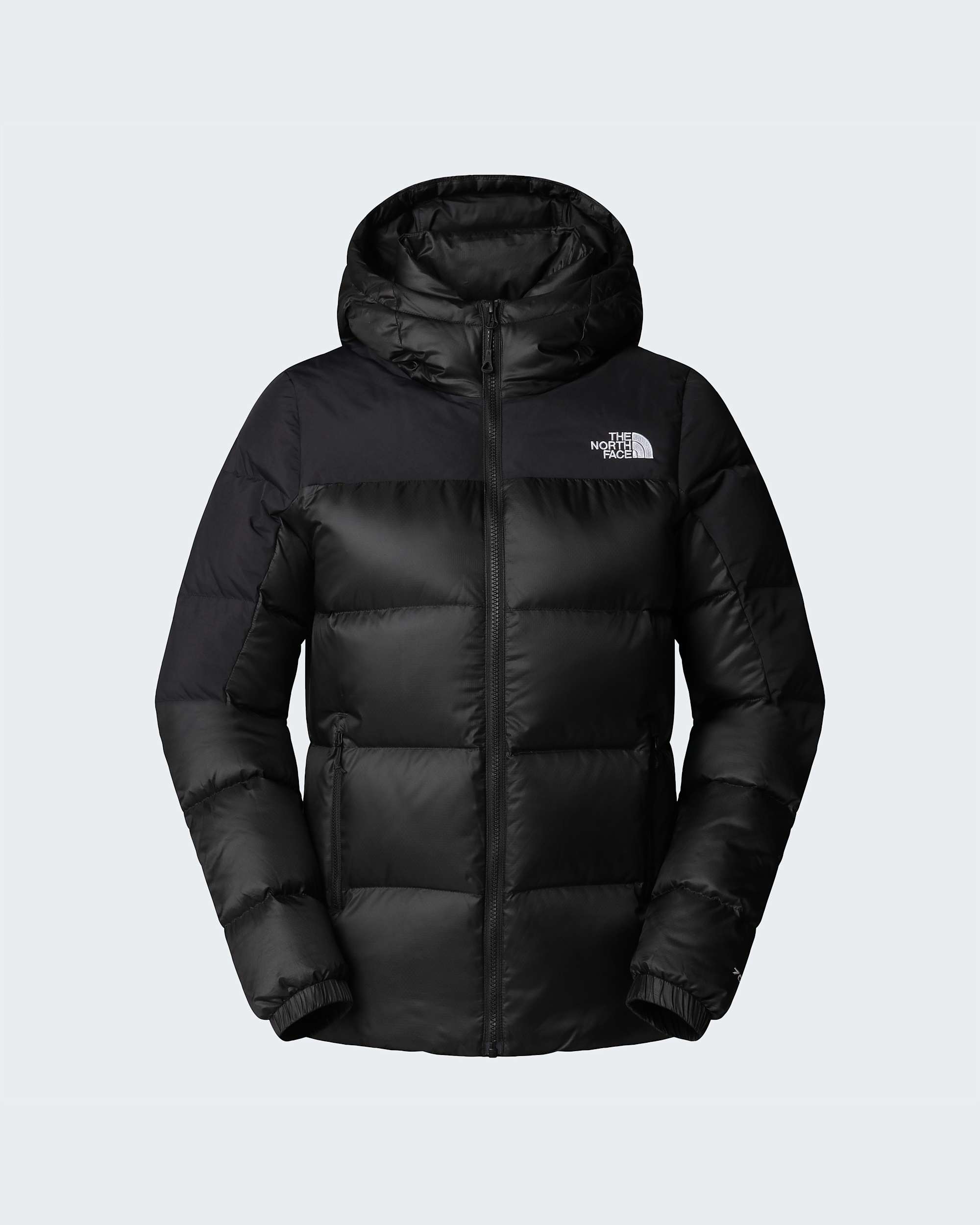 Veste en duvet  capuche Diablo 20 pour femme TNF alt20