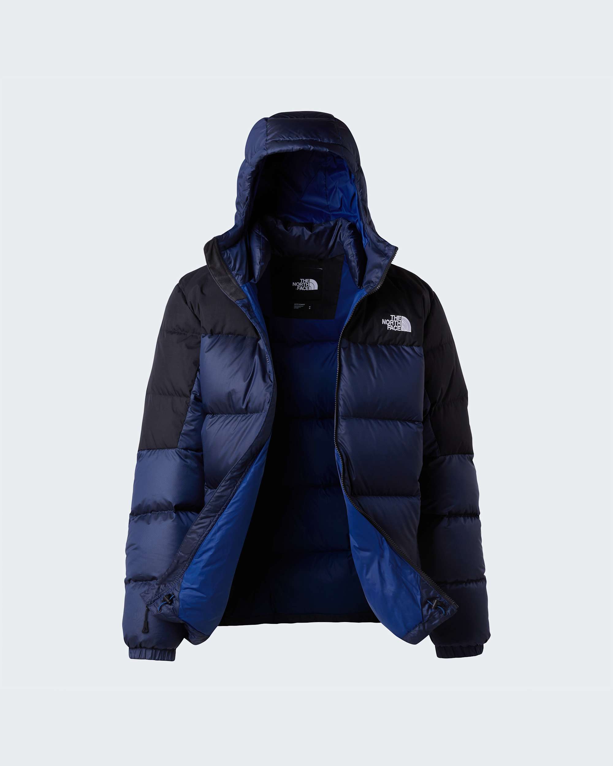 Mens Diablo Down 20 Hooded Jacket TNF ALT17