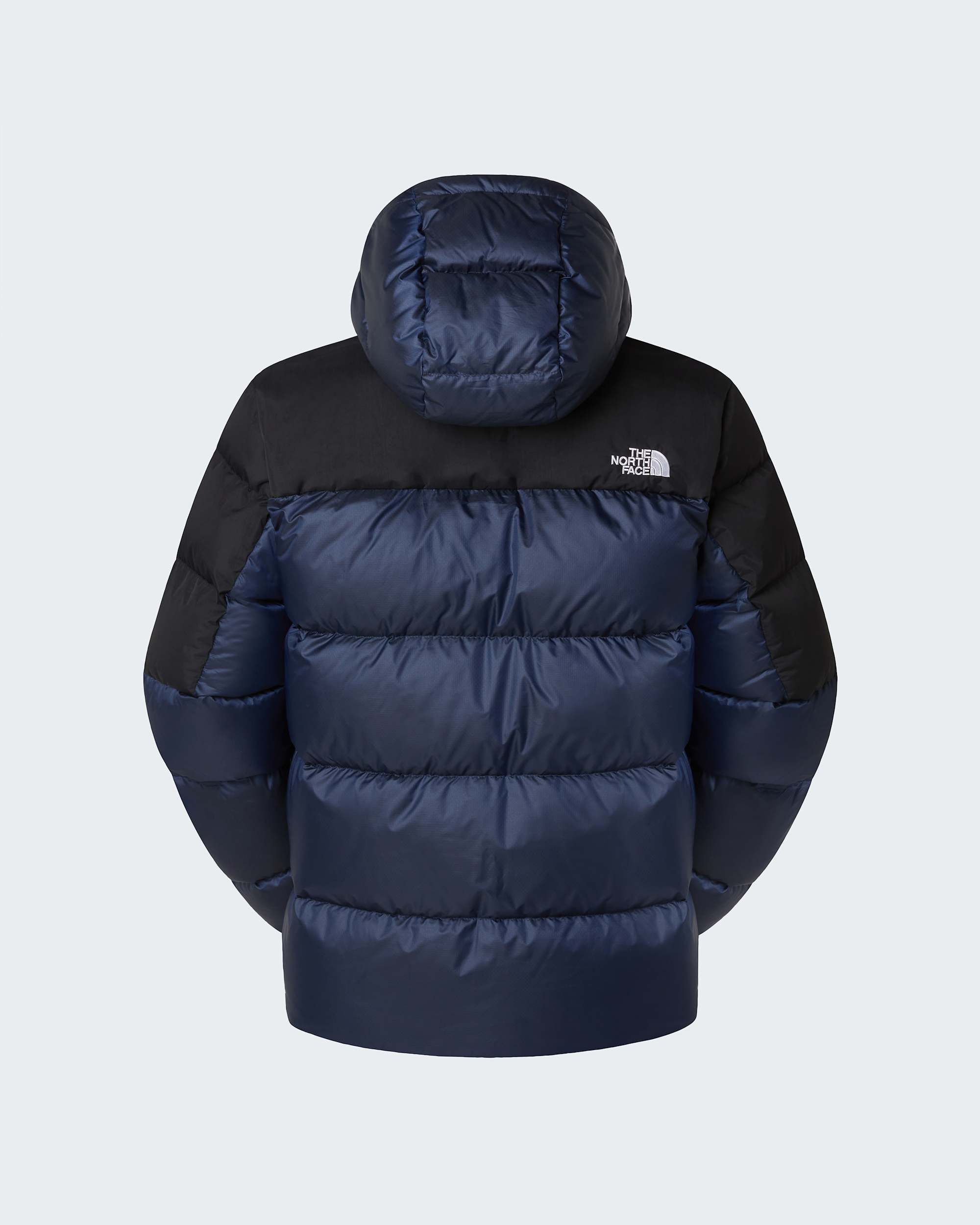 Mens Diablo Down 20 Hooded Jacket TNF ALT21
