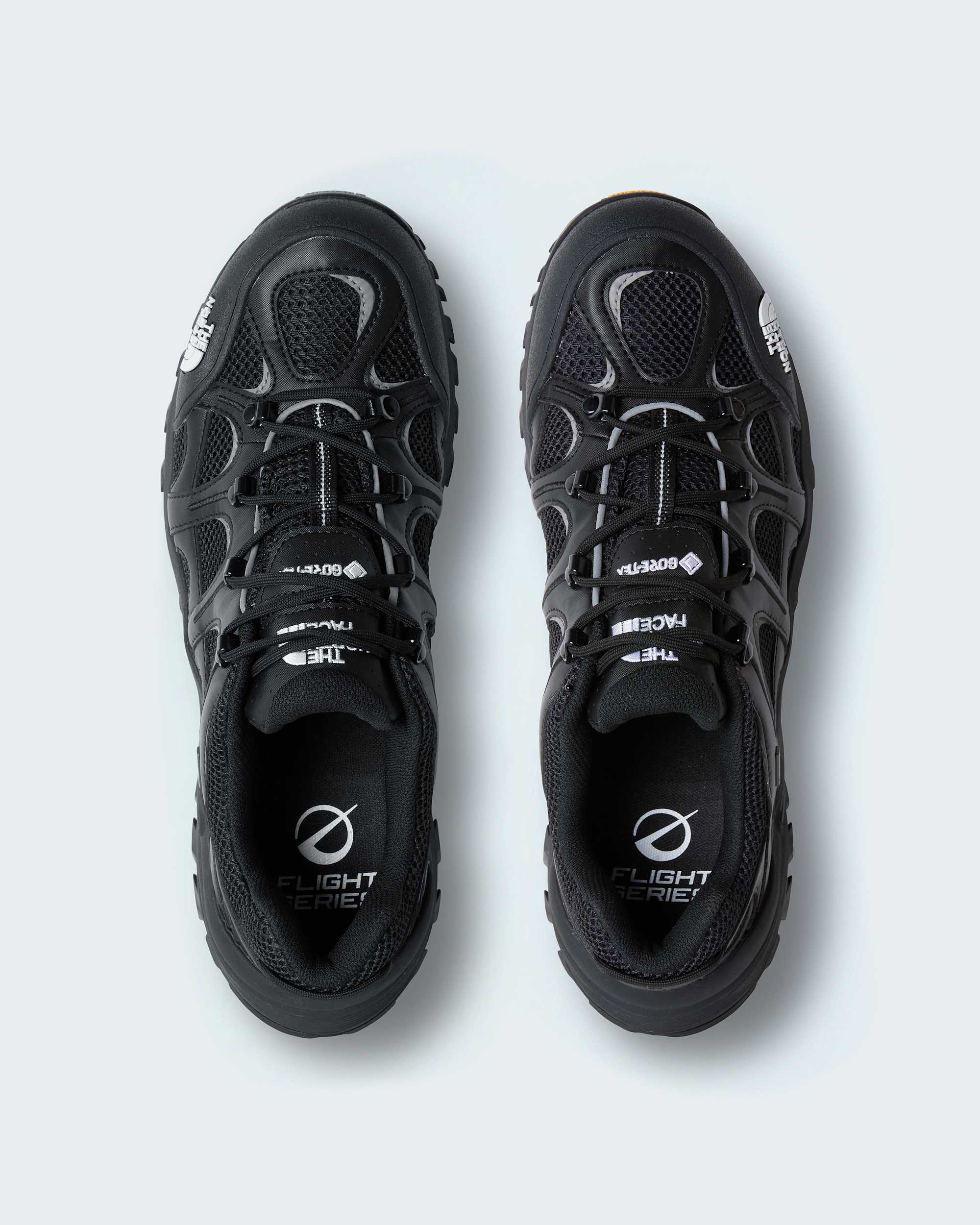 Hedgehog 06 RVST GORETEX Shoes TNF ALT1