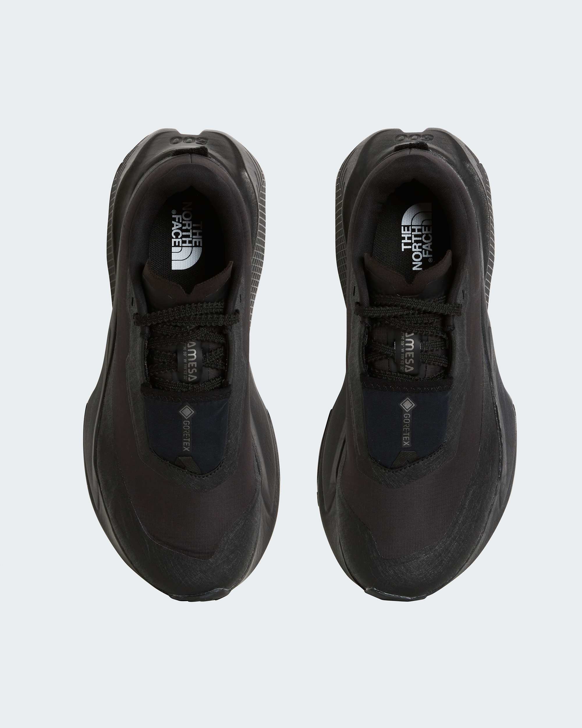 Womens Altamesa 500 V2 GORETEX Shoes TNF ALT1