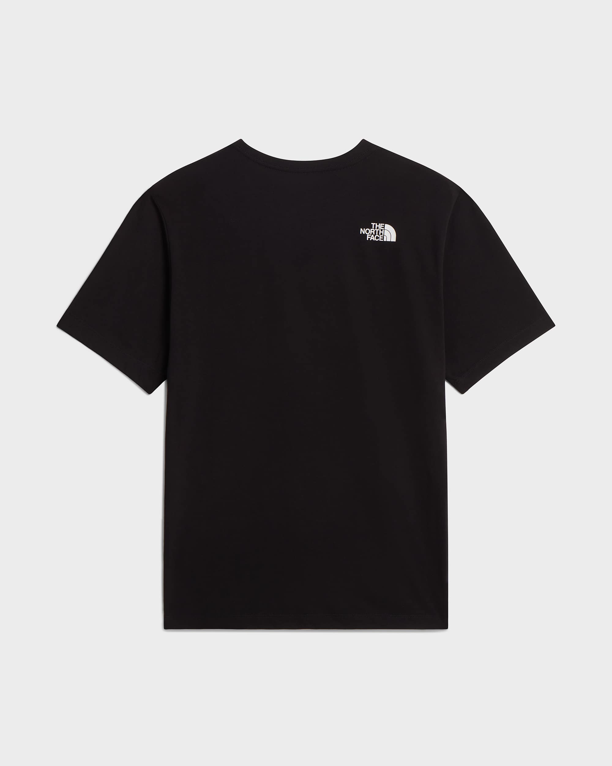 Tshirt standard Never Stop Exploring Graphic pour homme TNF alt31