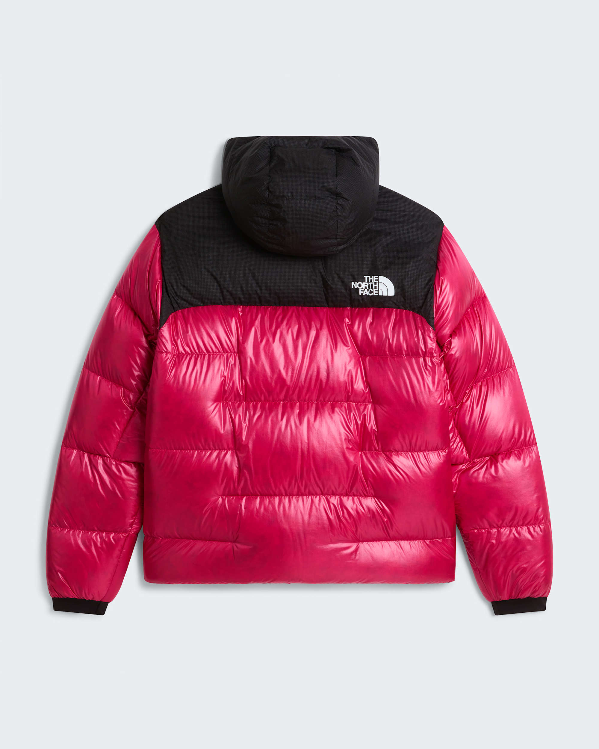 Womens Summit Nuptse Jacket TNF ALT31