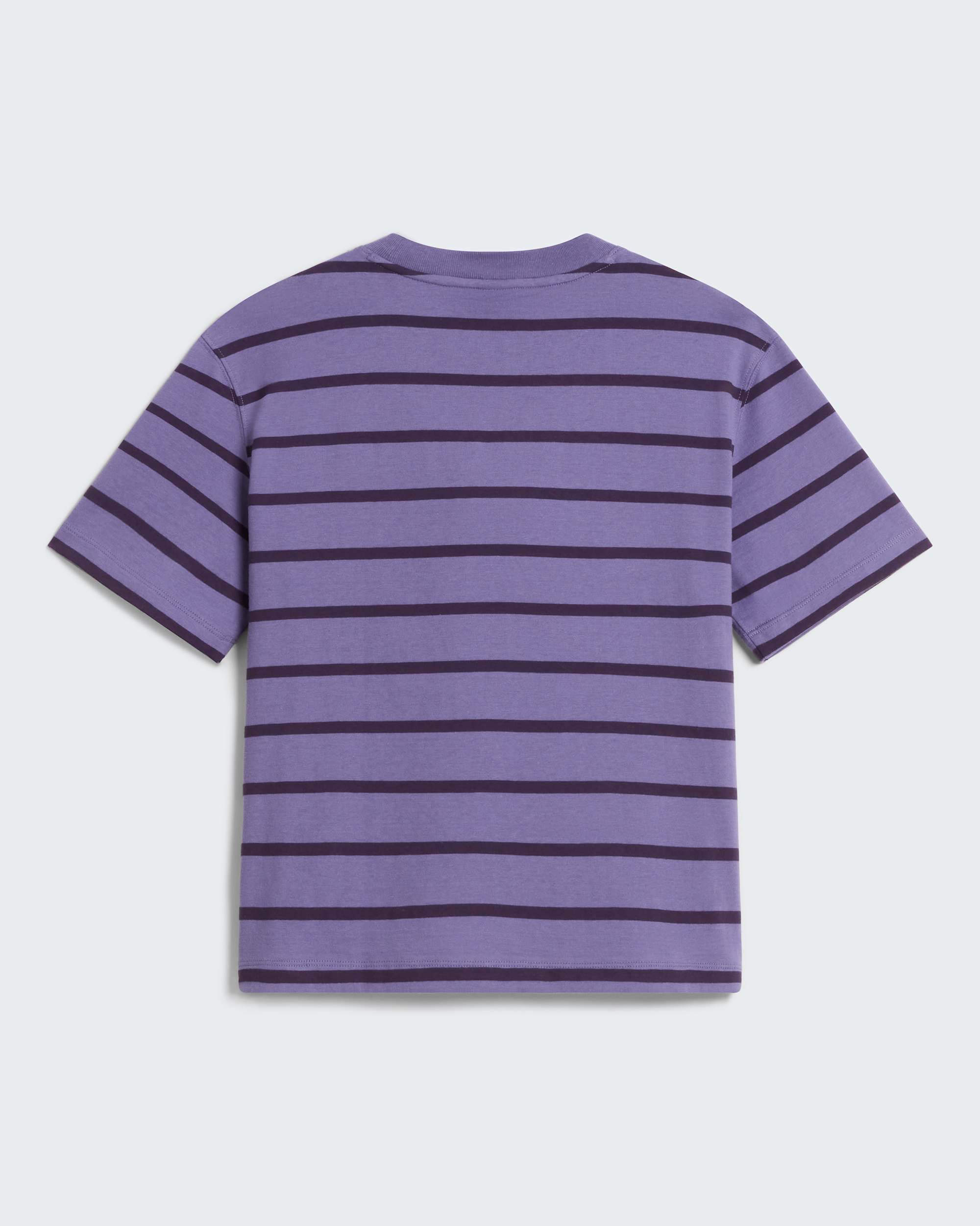 Tshirt Vista Stripe da donna TNF ALT31