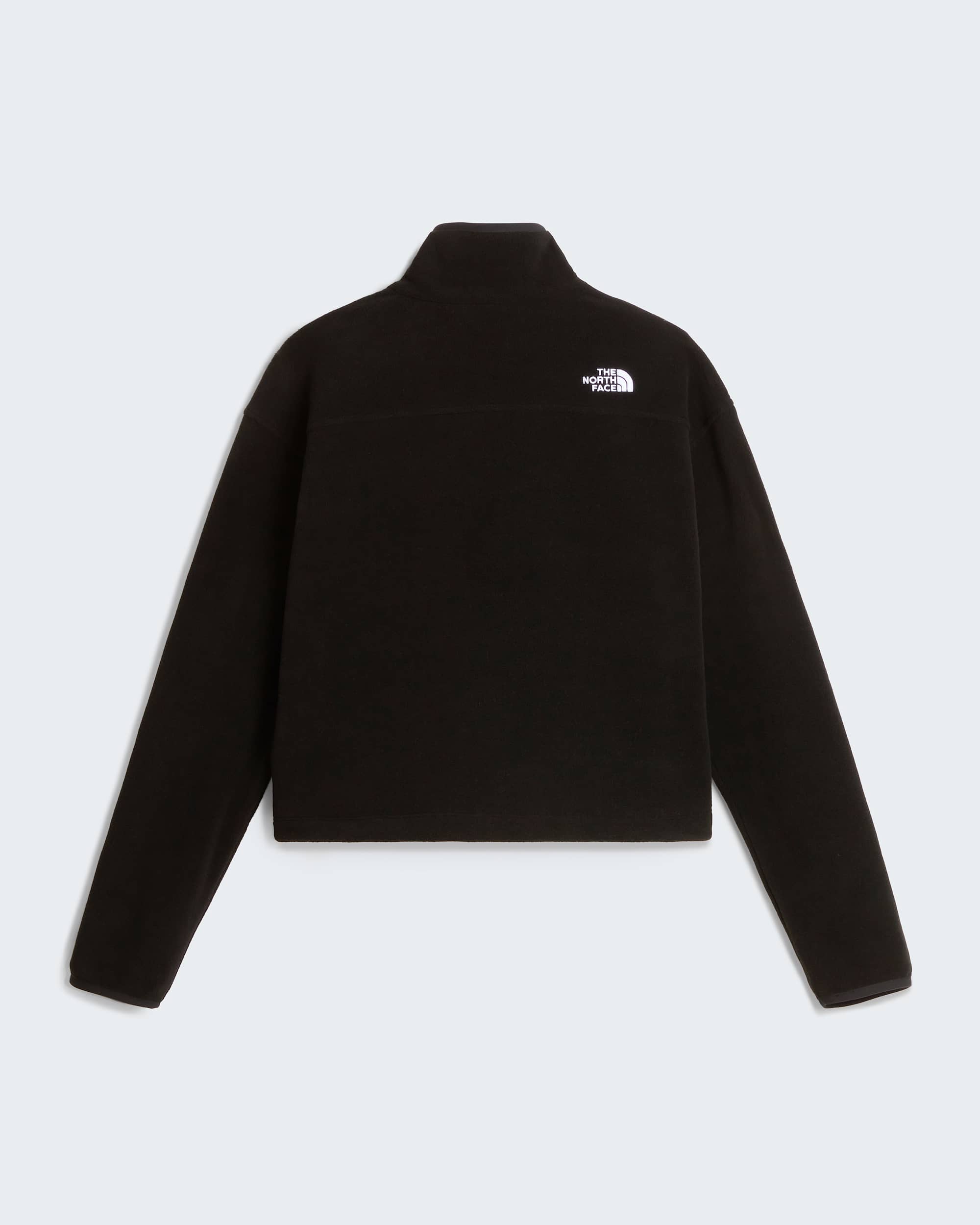Glacier Novelty Logo 14 Zip Fleece W TNF ALT31