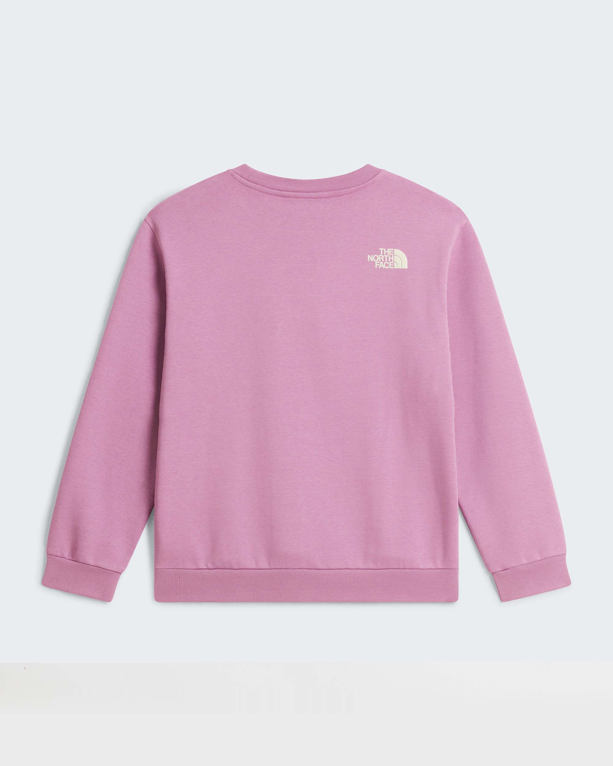 Chalbi Relaxed Graphic Sweatshirt fr Mdchen TNF ALT31