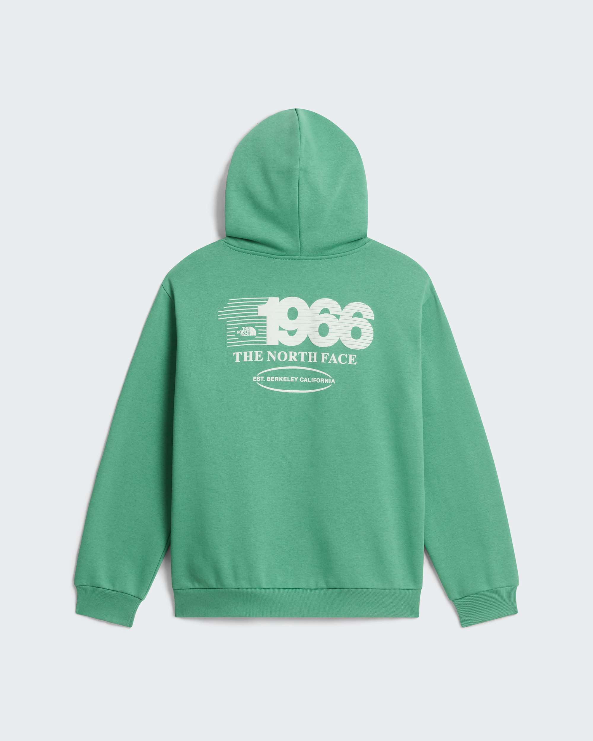Track Relaxed Graphic Hoodie fr Teenager TNF ALT31