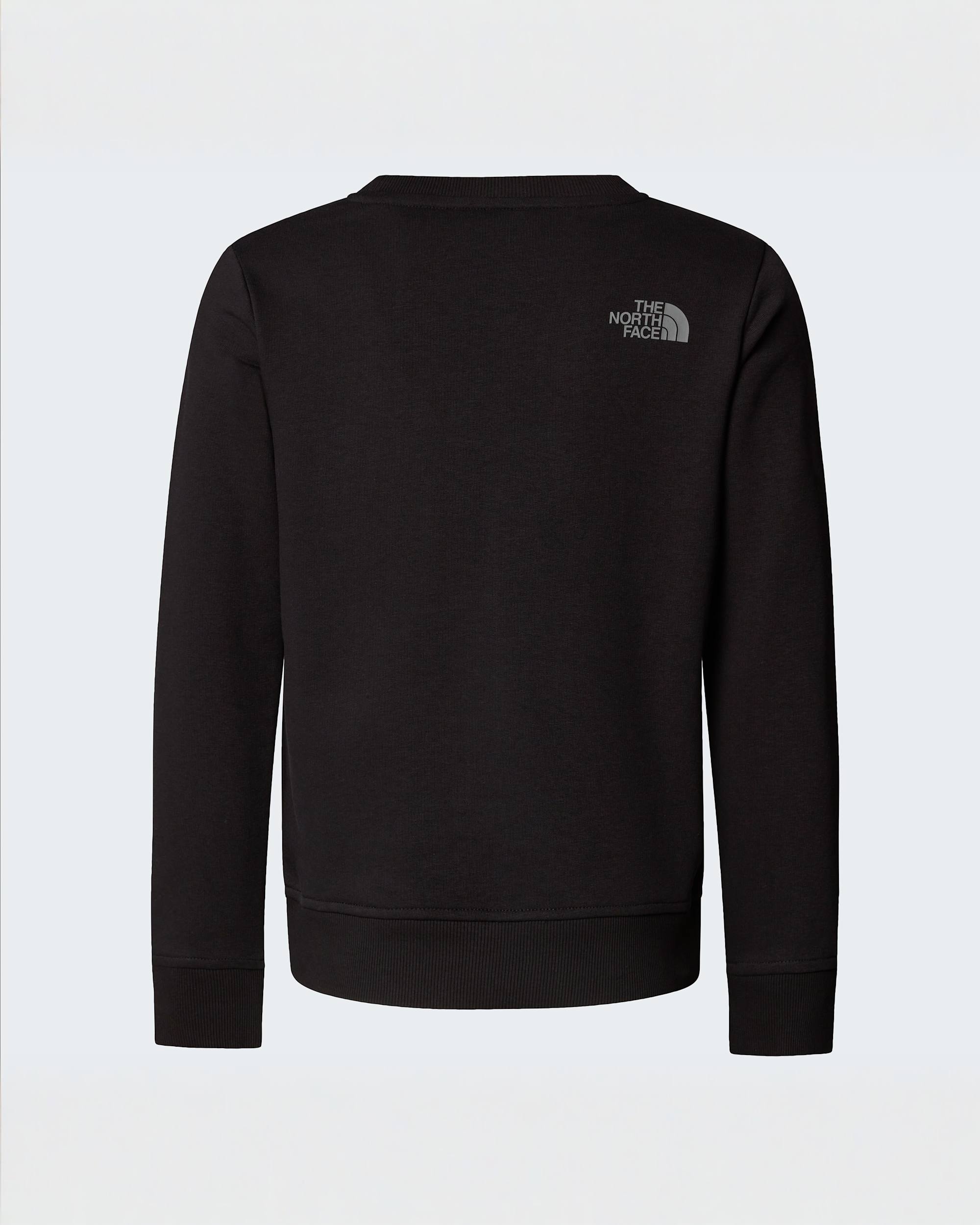 Teens Drew Peak Crew Neck Sweatshirt TNF ALT21