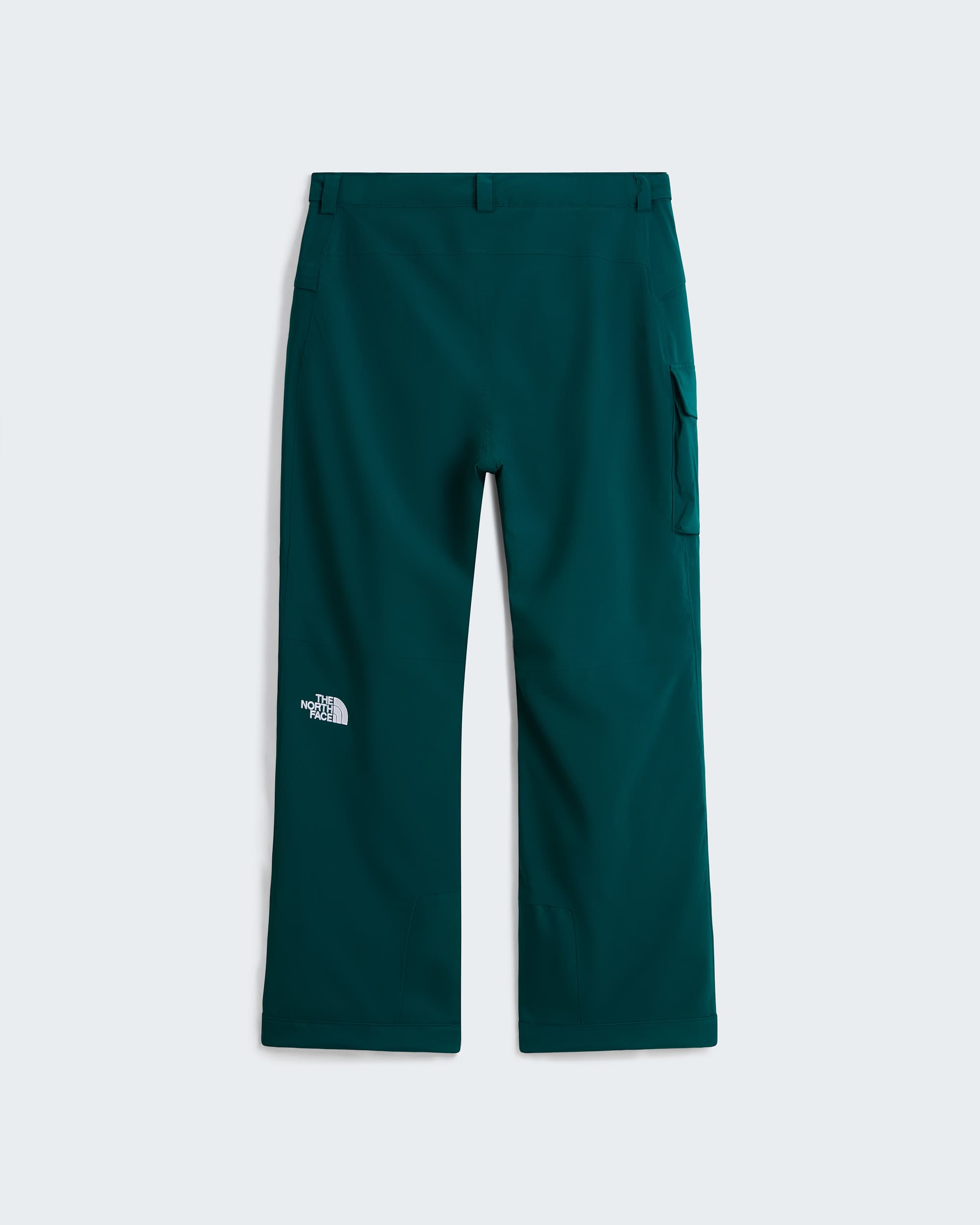 Mens Freedom Insulated Trousers TNF ALT31