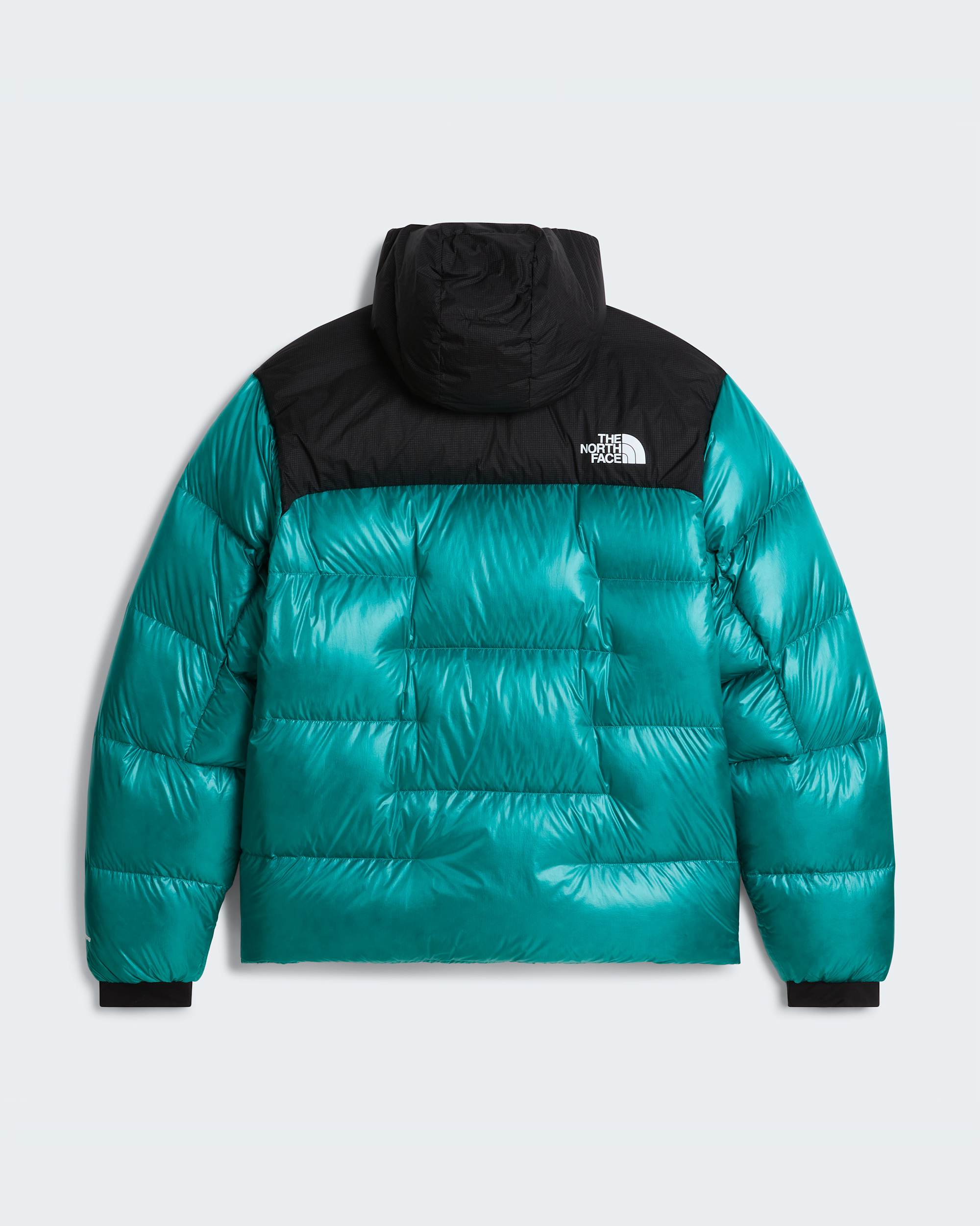 Mens Summit Nuptse Jacket TNF ALT31