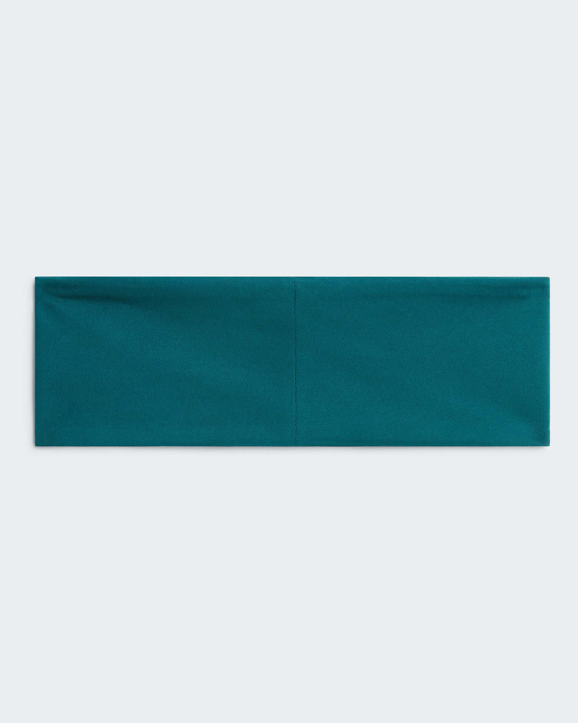 Headband Base TNF ALT2