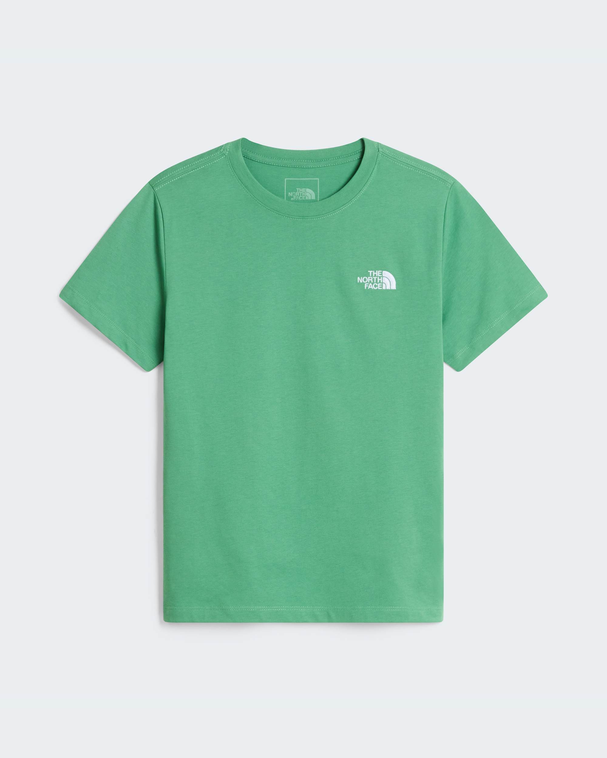 Modzieowy Tshirt Evolution Simple Dome TNF Dimmed Algae ALT30