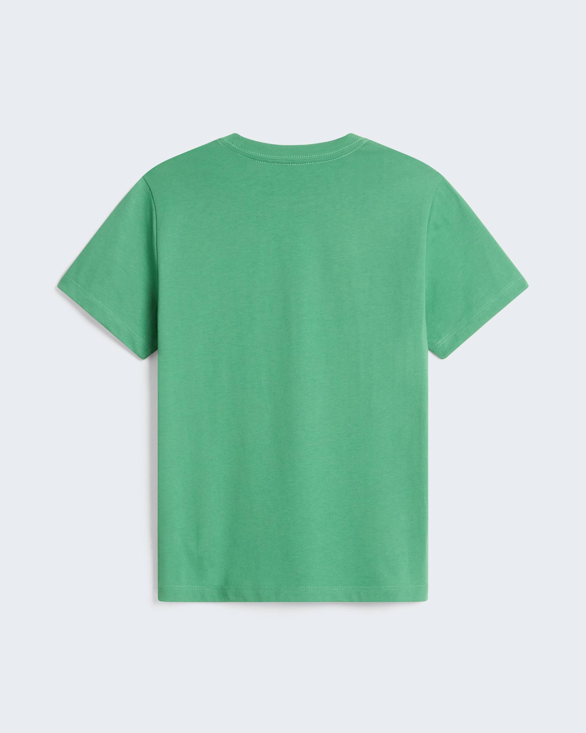 Modzieowy Tshirt Evolution Simple Dome TNF Dimmed Algae ALT31