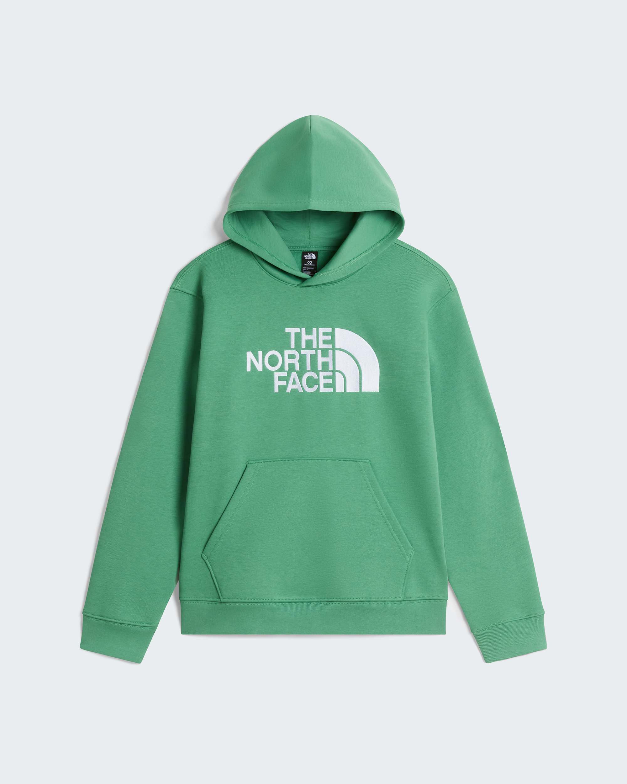 TNF Essential Drew Peak hoodie voor tieners TNF Dimmed Algae ALT30