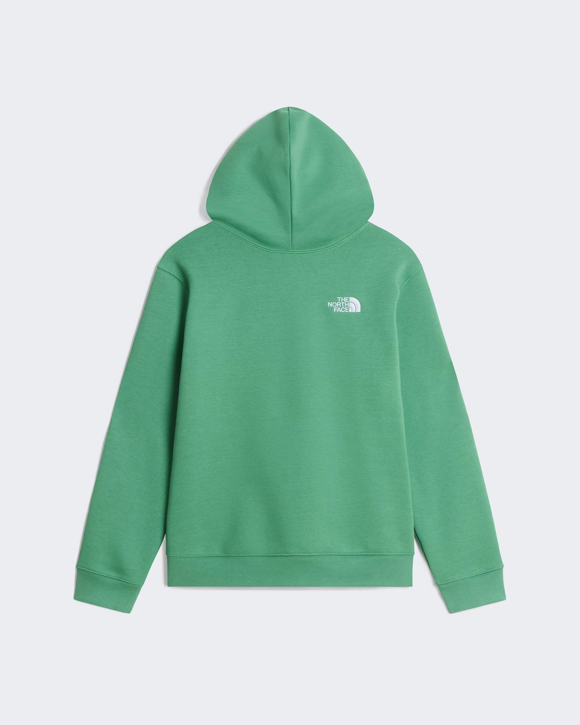 TNF Essential Drew Peak hoodie voor tieners TNF Dimmed Algae ALT31