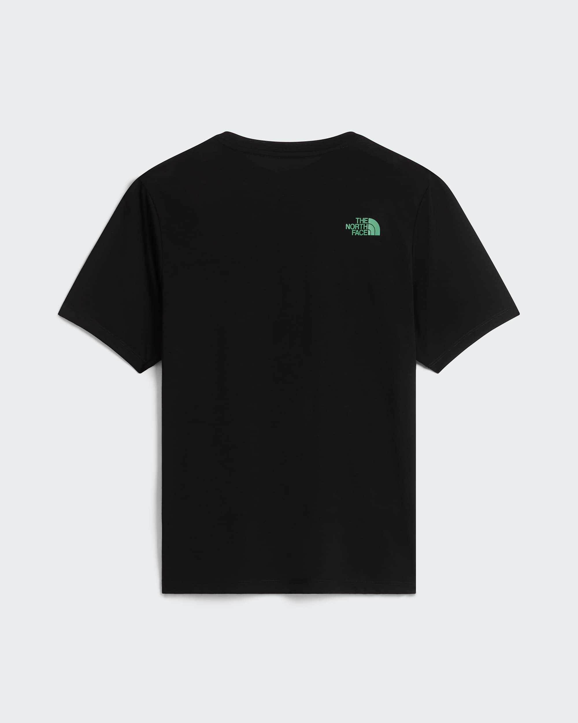 Tshirt Foundation Graphic pour homme TNF ALT31