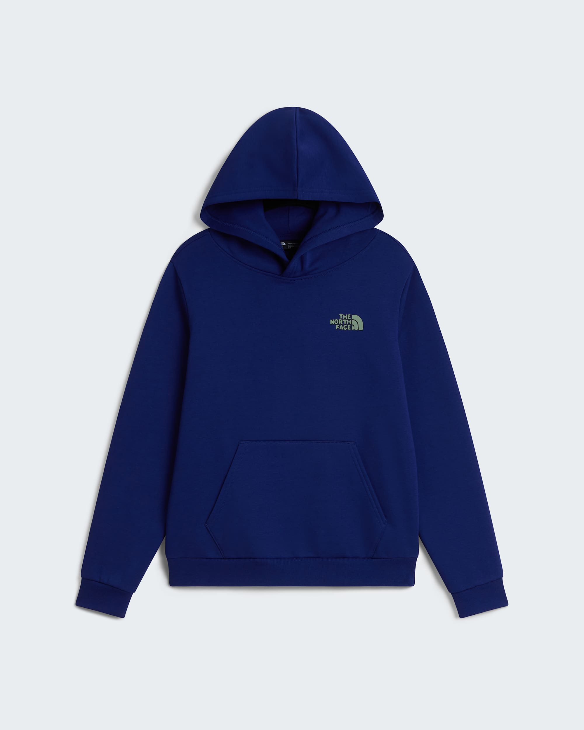 Boys Outdoor Regular Graphic Hoodie TNF ALT30