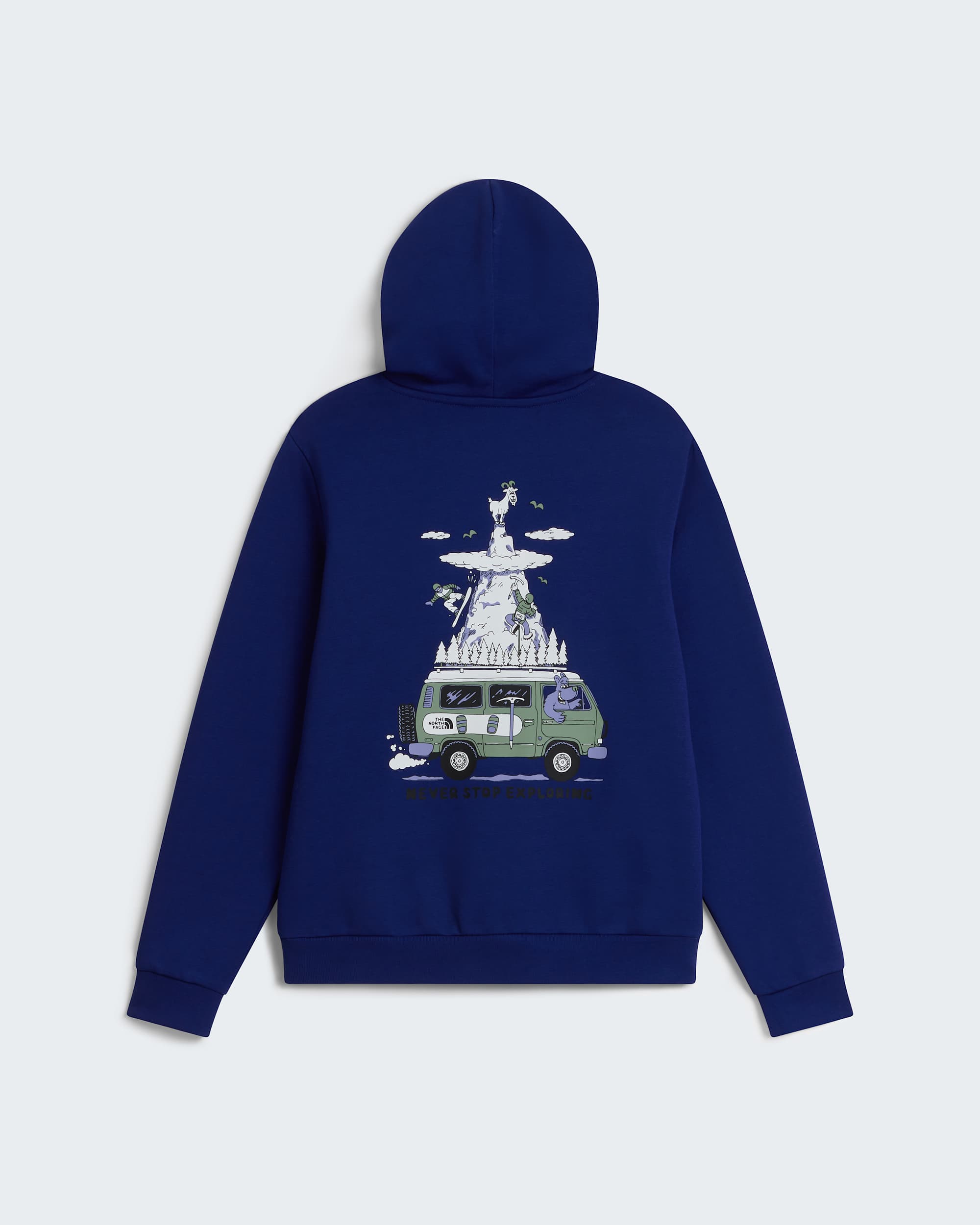 Boys Outdoor Regular Graphic Hoodie TNF ALT31