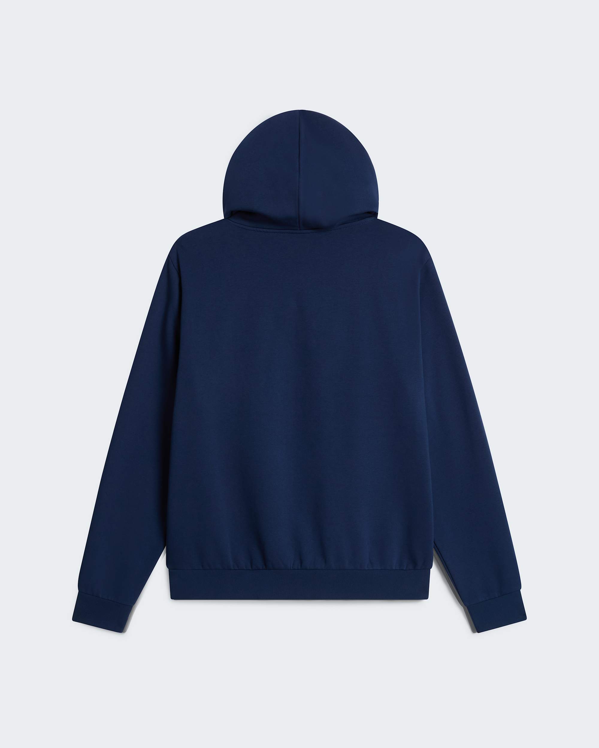 Sudadera recta con capucha Evolution Simple Dome para hombre TNF alt31