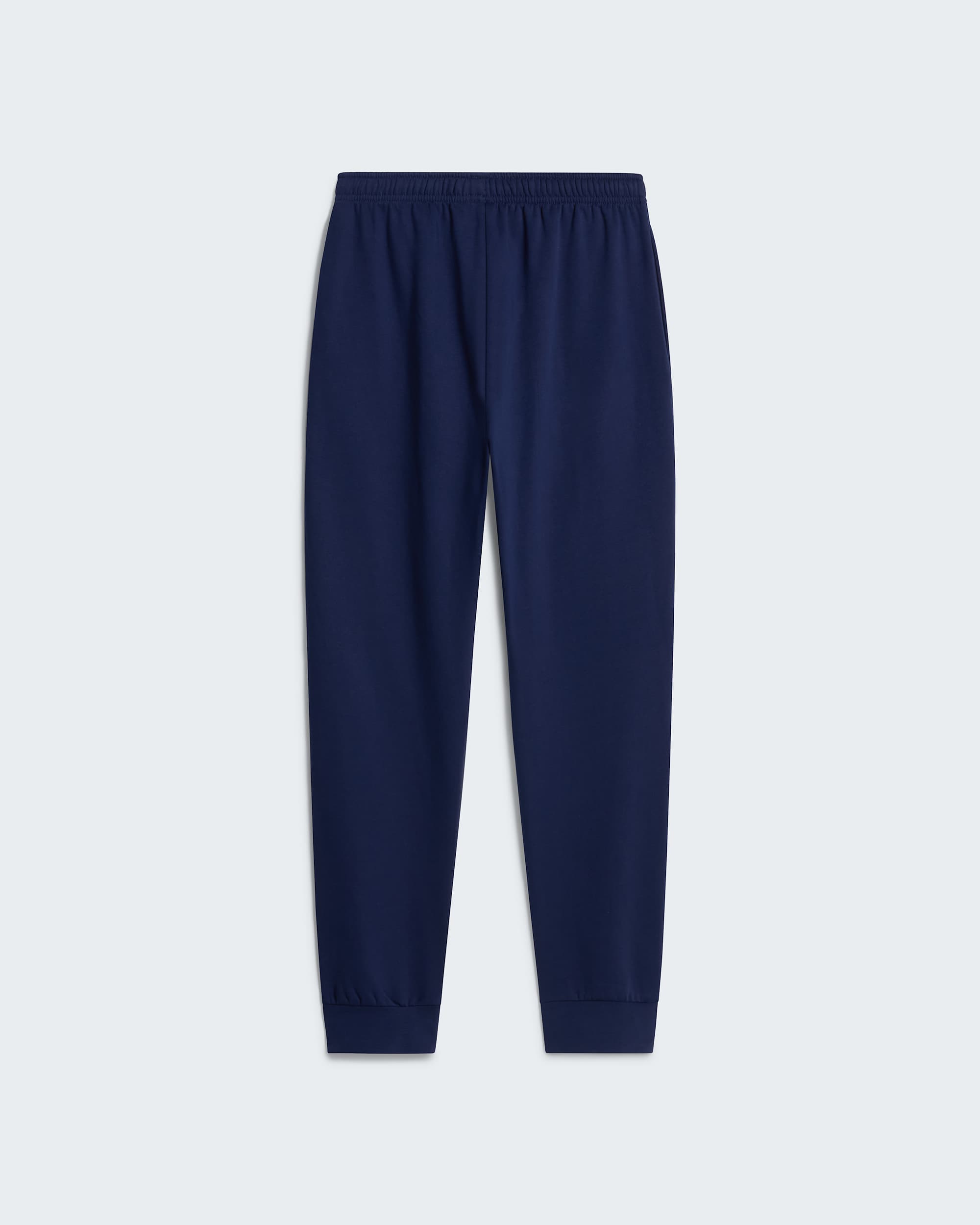 Mens Evolution Simple Dome Regular Joggers TNF alt31