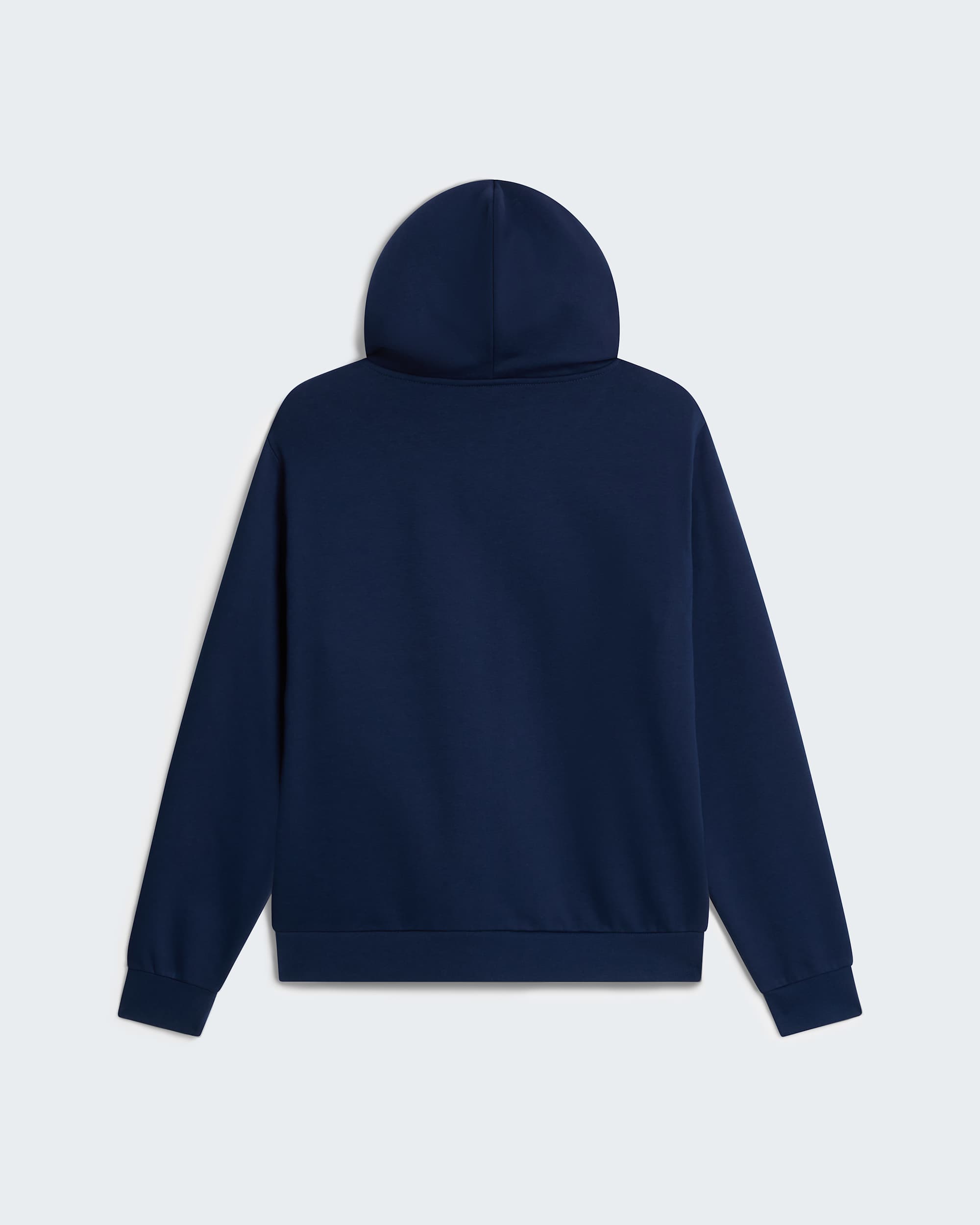 Sweat  capuche standard zipp Evolution Simple Dome pour homme TNF alt31