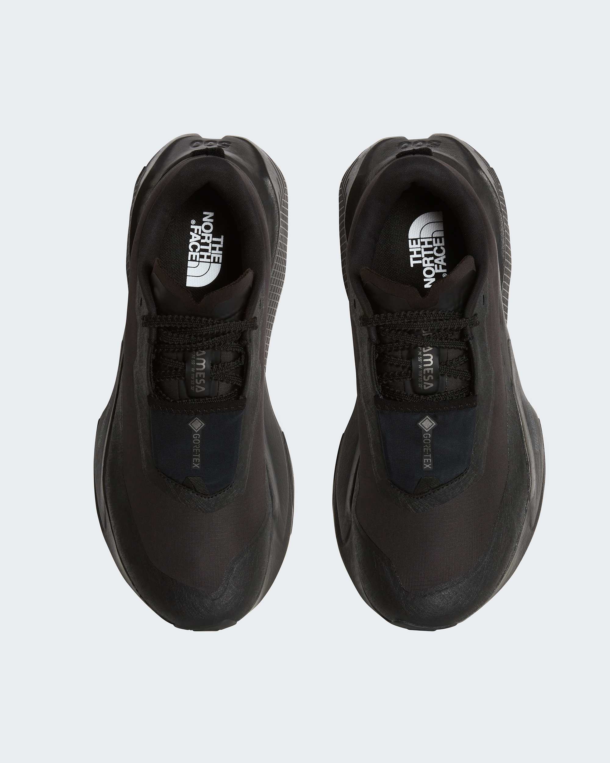 Mens Altamesa 500 V2 GORETEX Shoes TNF ALT1