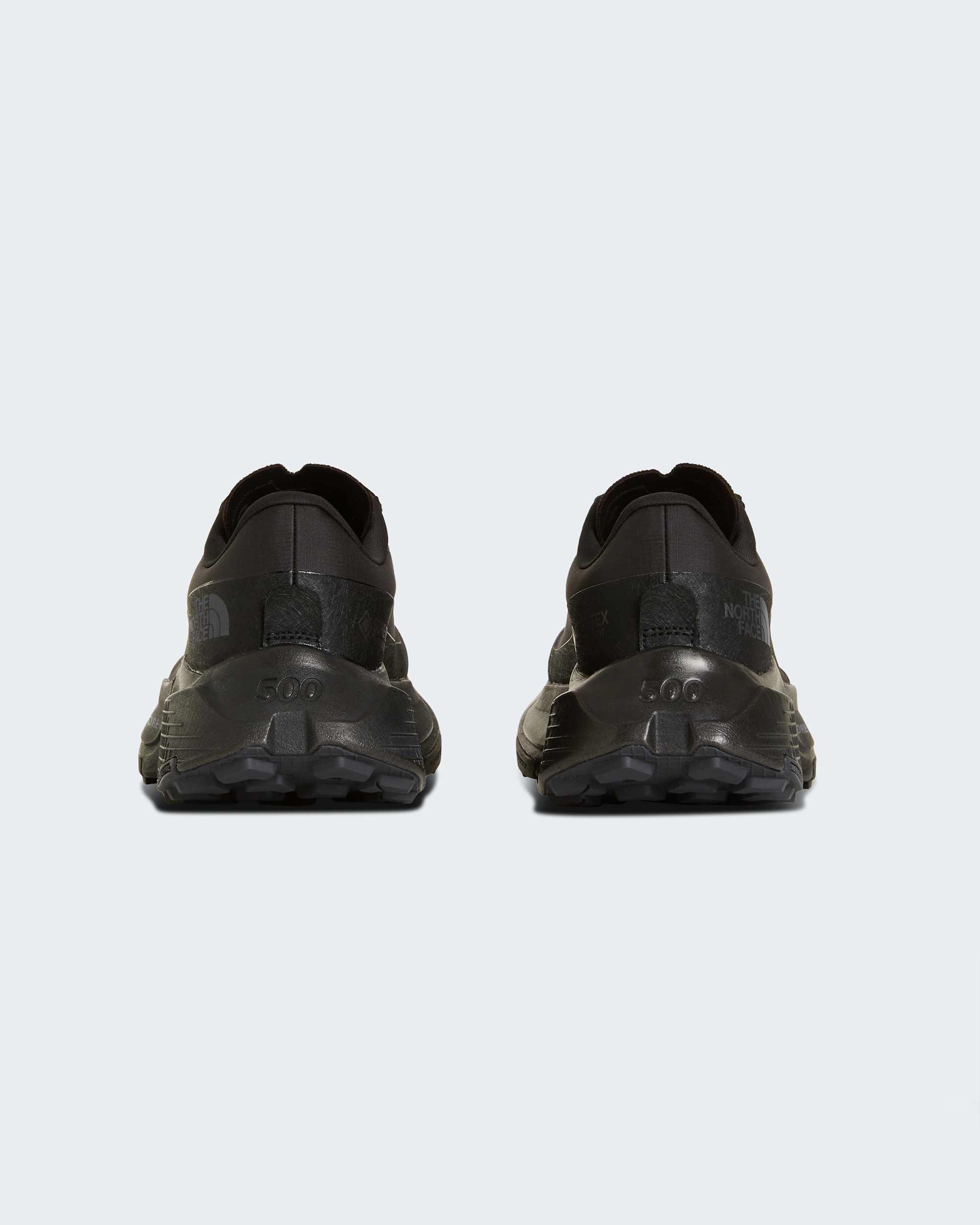Womens Altamesa 500 V2 GORETEX Shoes TNF ALT6