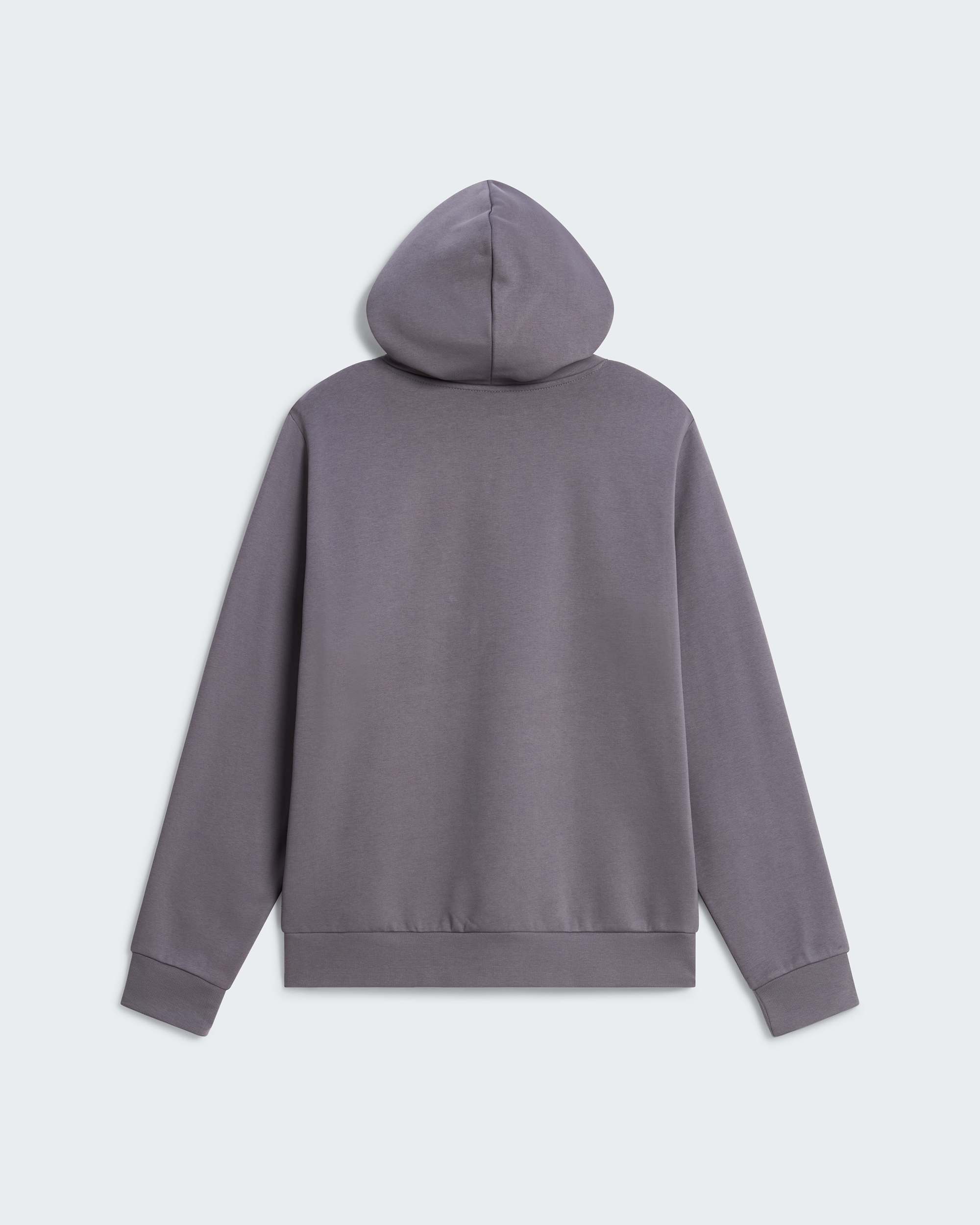 Sweat  capuche standard Evolution Front Throwback pour homme TNF alt1