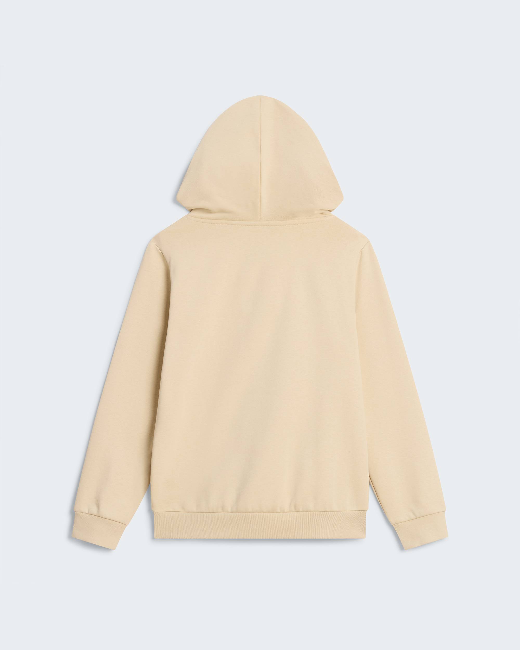 Sweat  capuche standard Evolution Front Throwback pour enfant TNF alt1