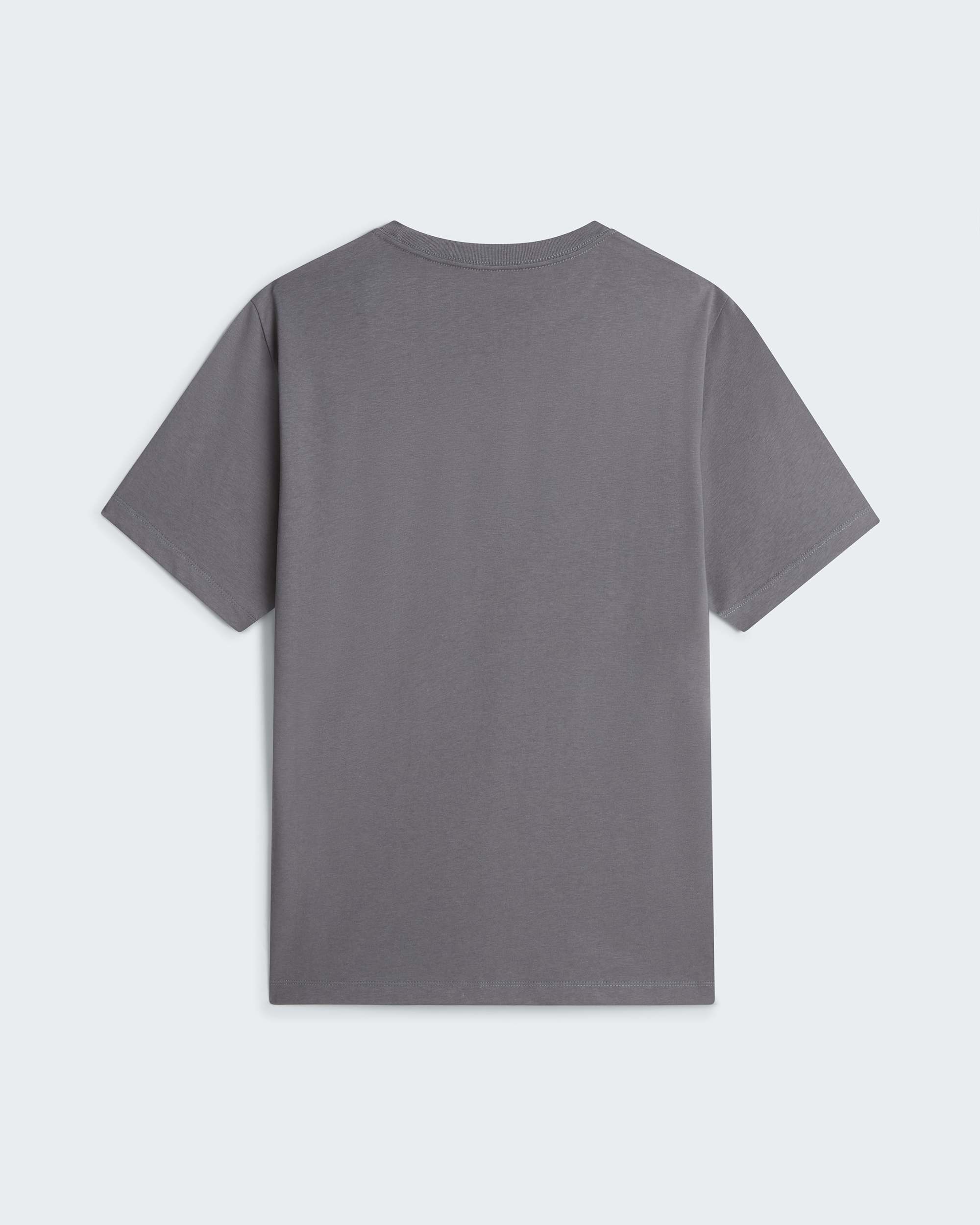 Tshirt standard Evolution Core Dome pour homme TNF alt1