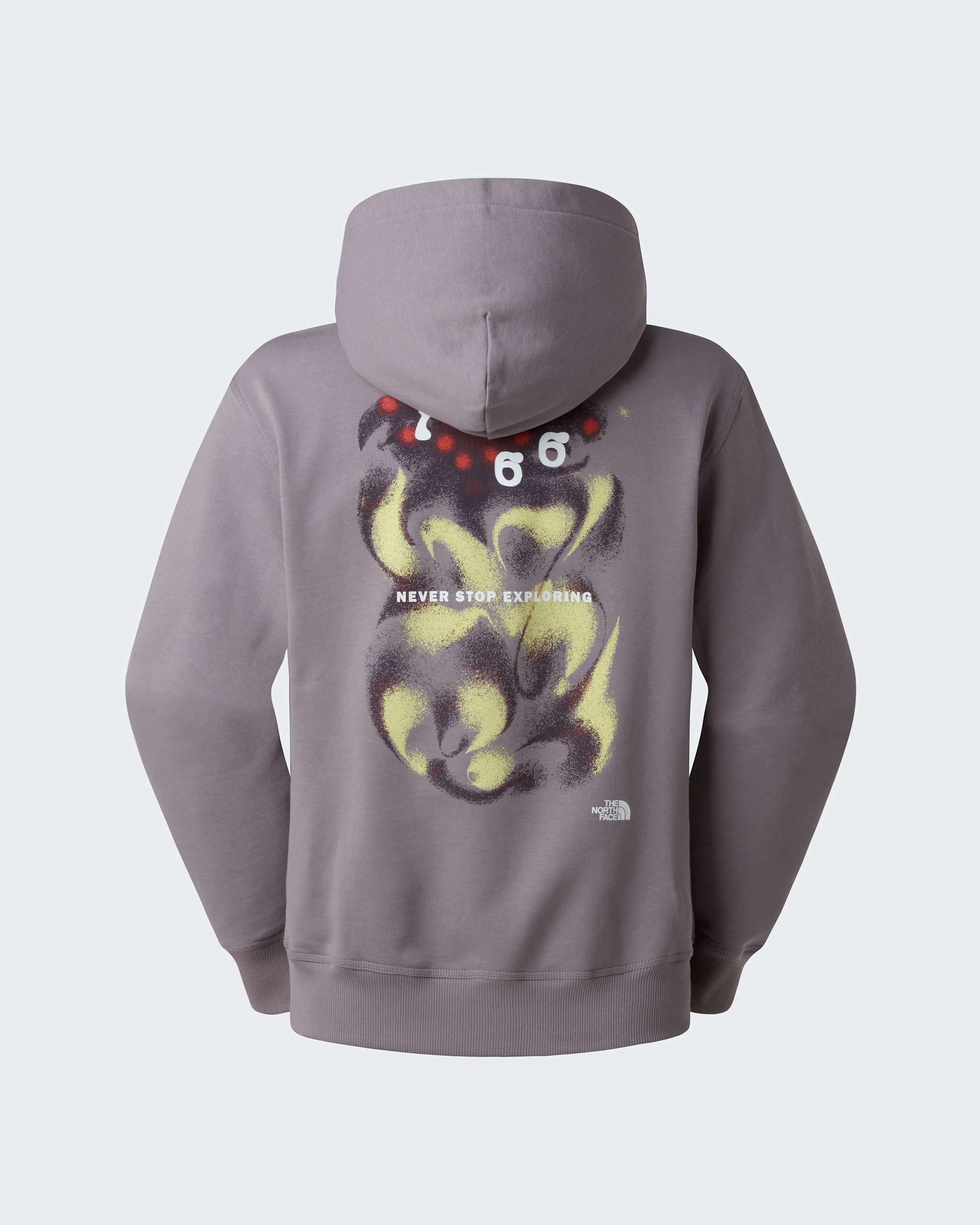 Sweat  capuche dcontract 1966 Motion Graphic unisexe TNF alt1