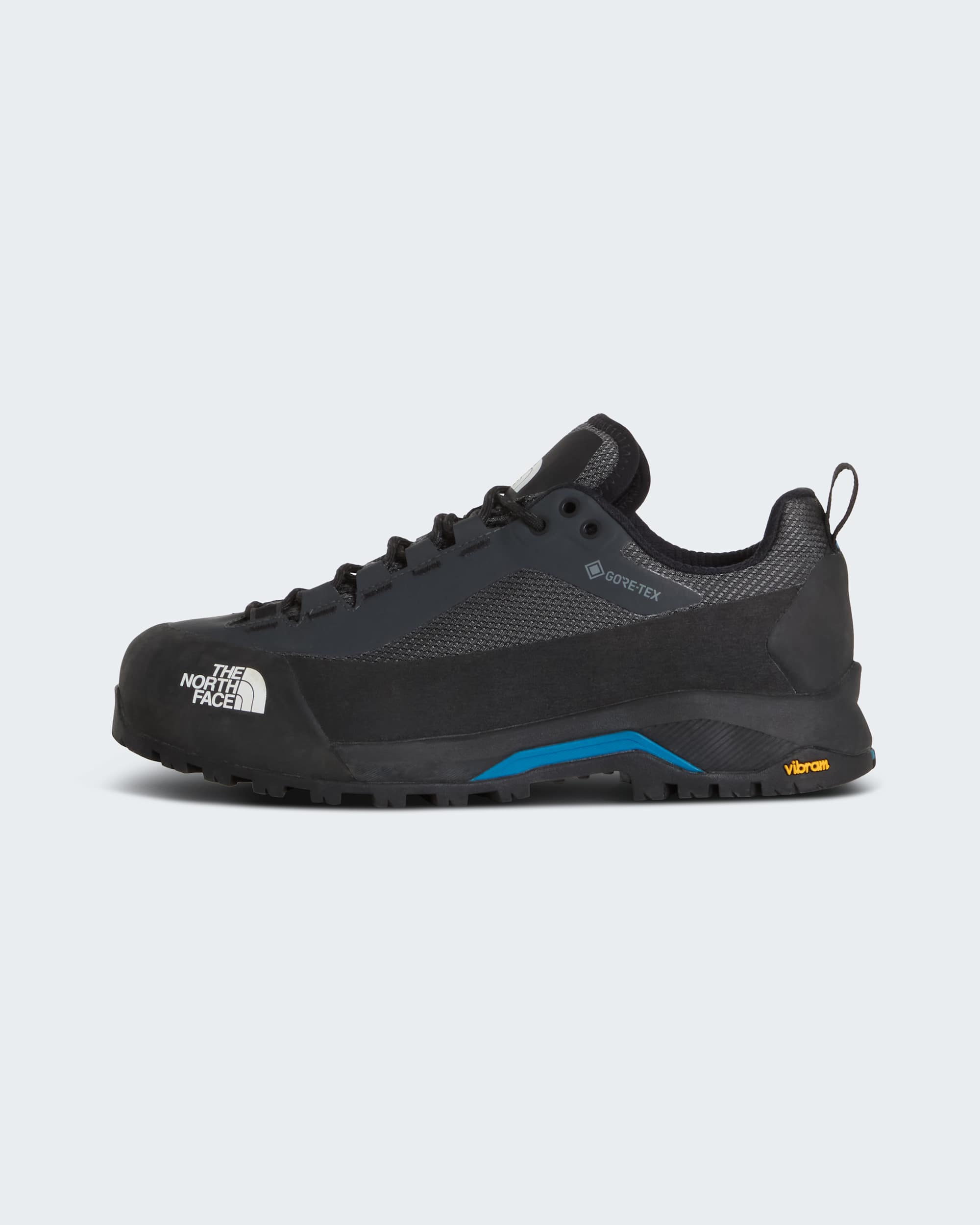 Mens Verto GORETEX Alpine Shoes TNF hero