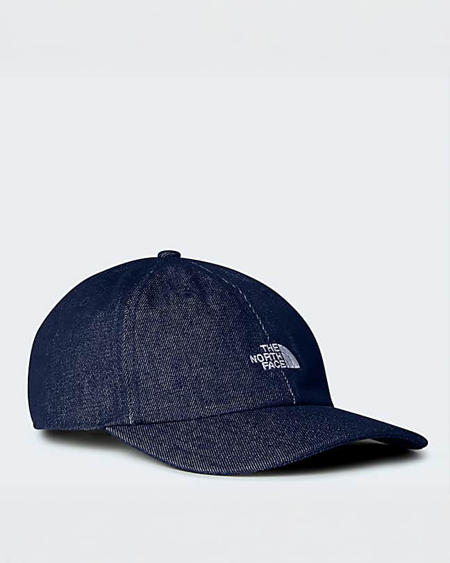 baseball hat the norm hat north face