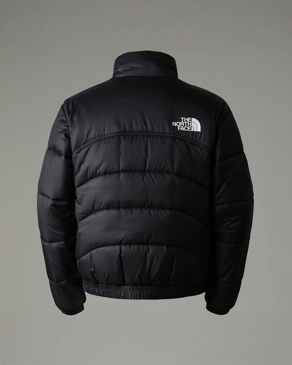2000 Synthetic Pufferjas voor heren TNF ALT21
